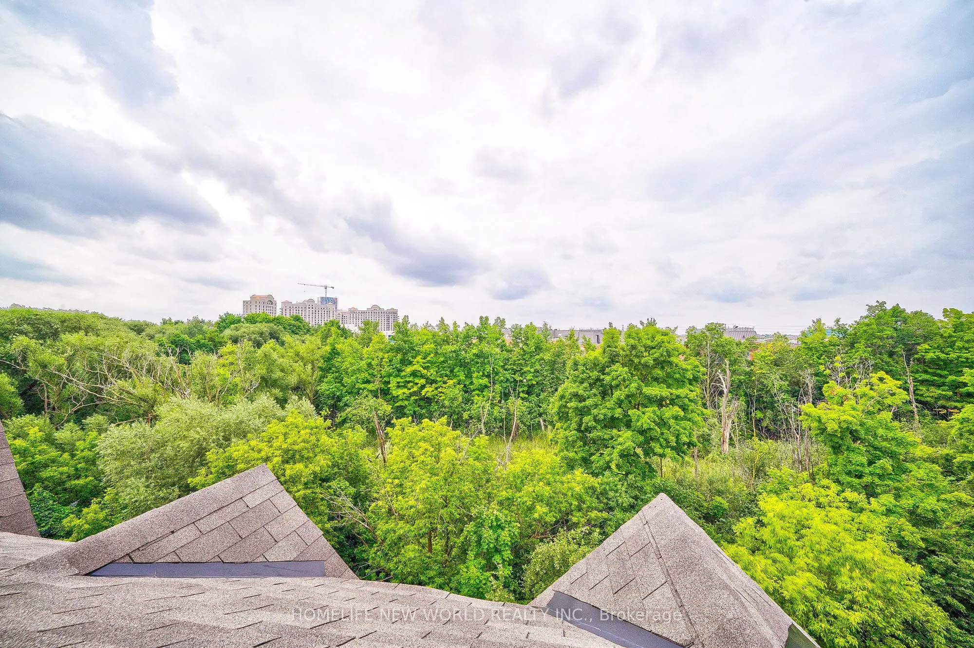 181 Parktree Drive #38