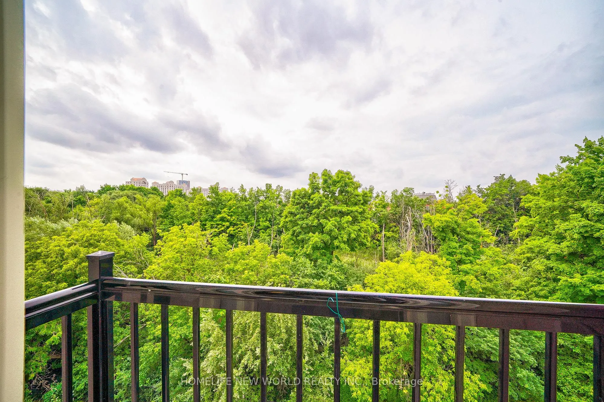 181 Parktree Drive #38
