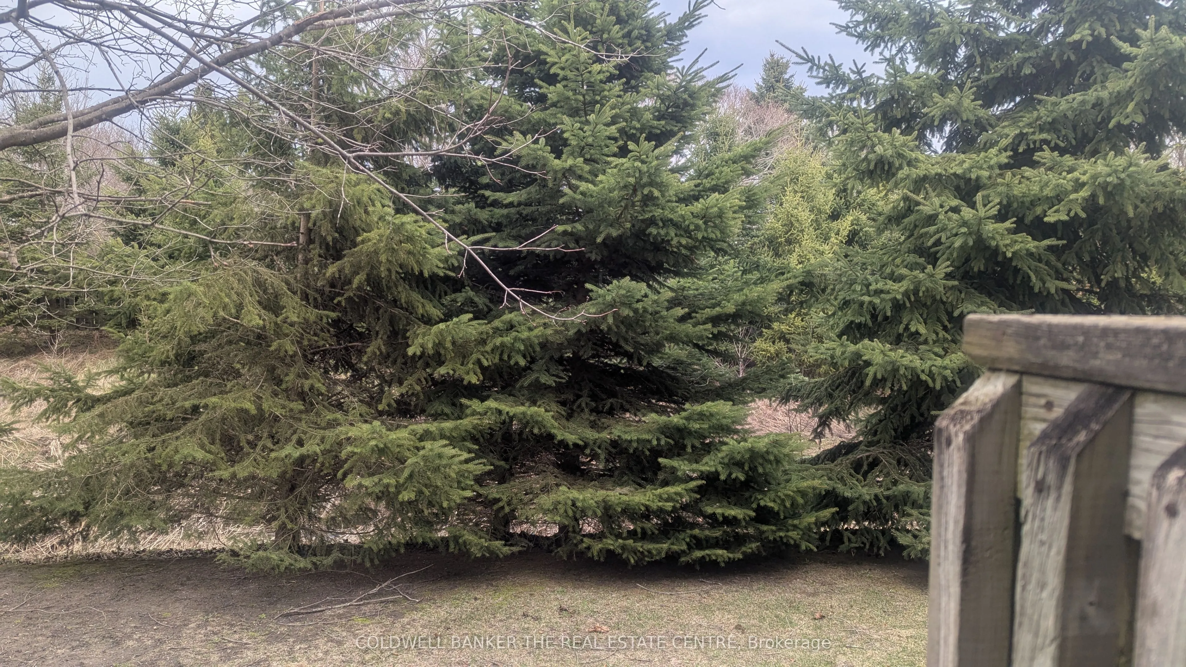 10 Riverley Lane, #2