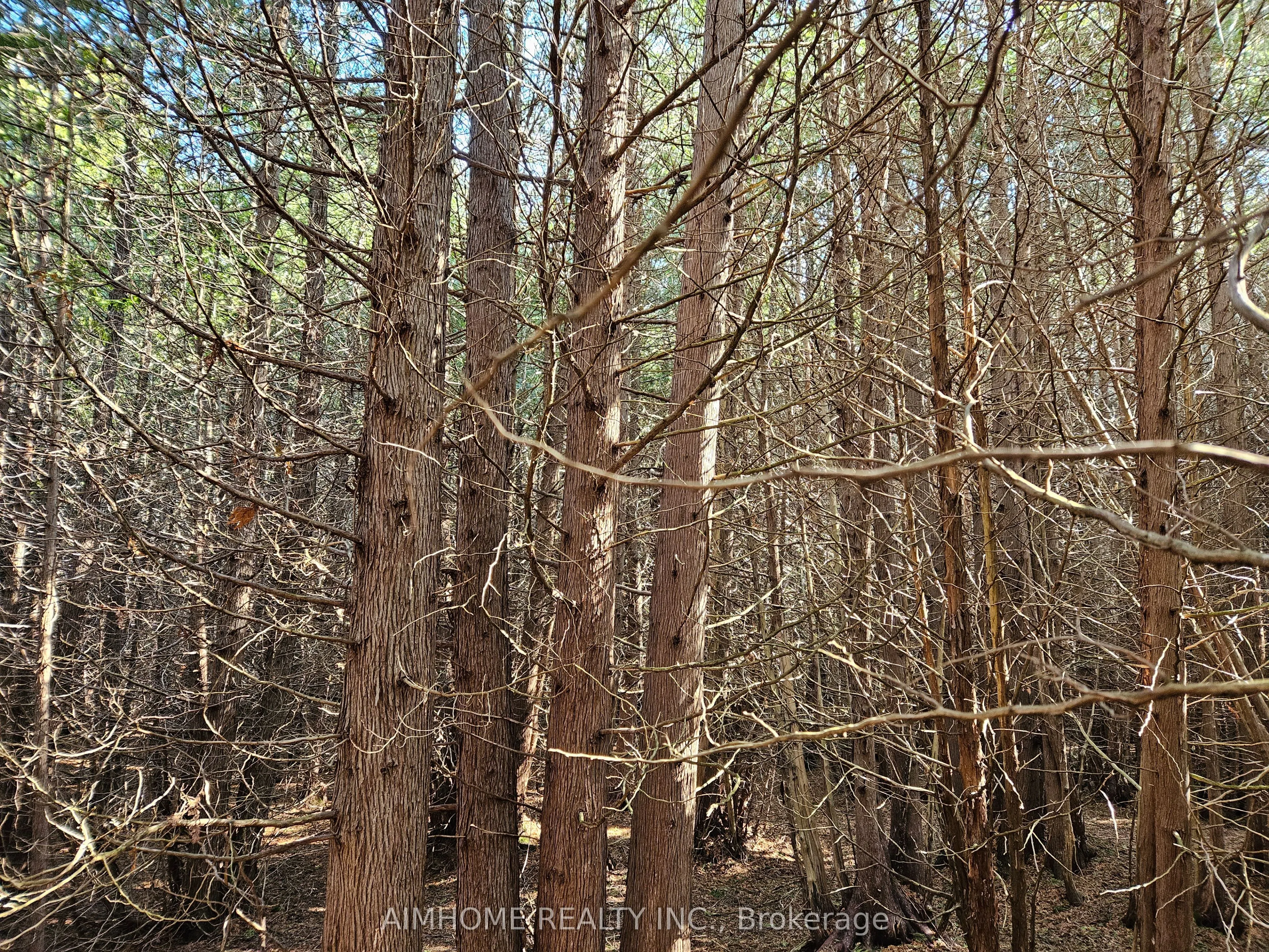 10400 and 10800 6th Concession