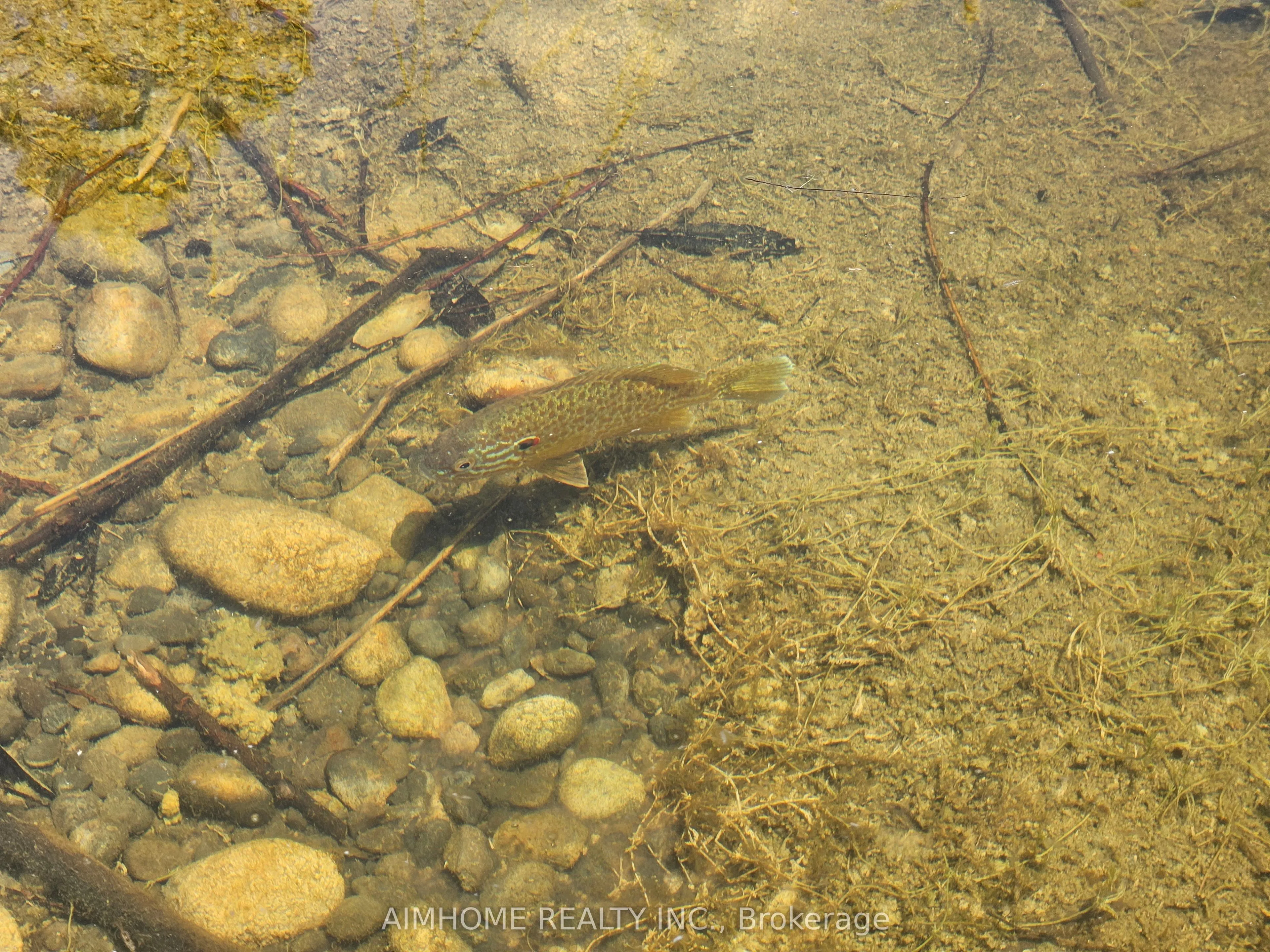 10400 and 10800 6th Concession