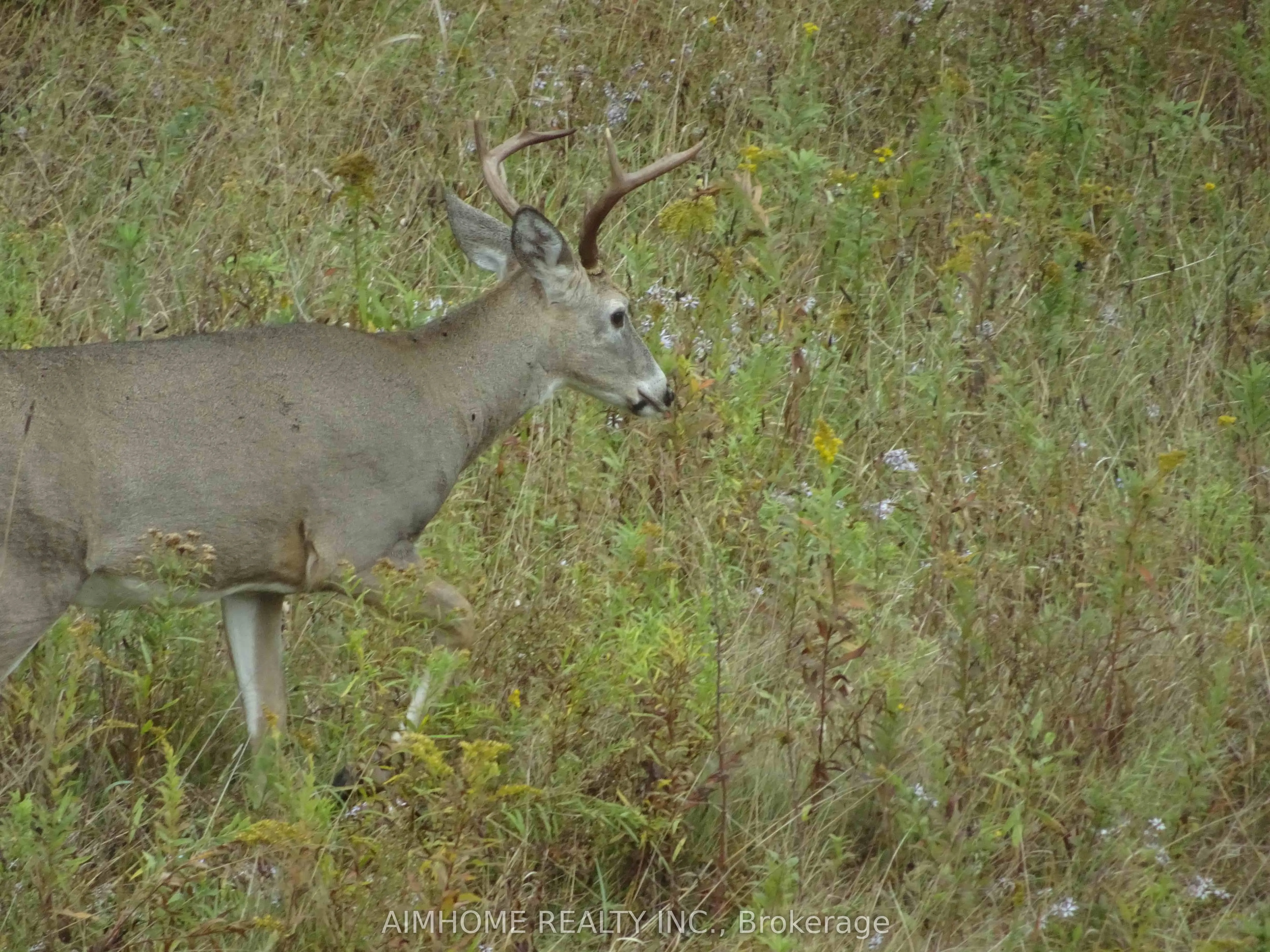 10400 and 10800 6th Concession