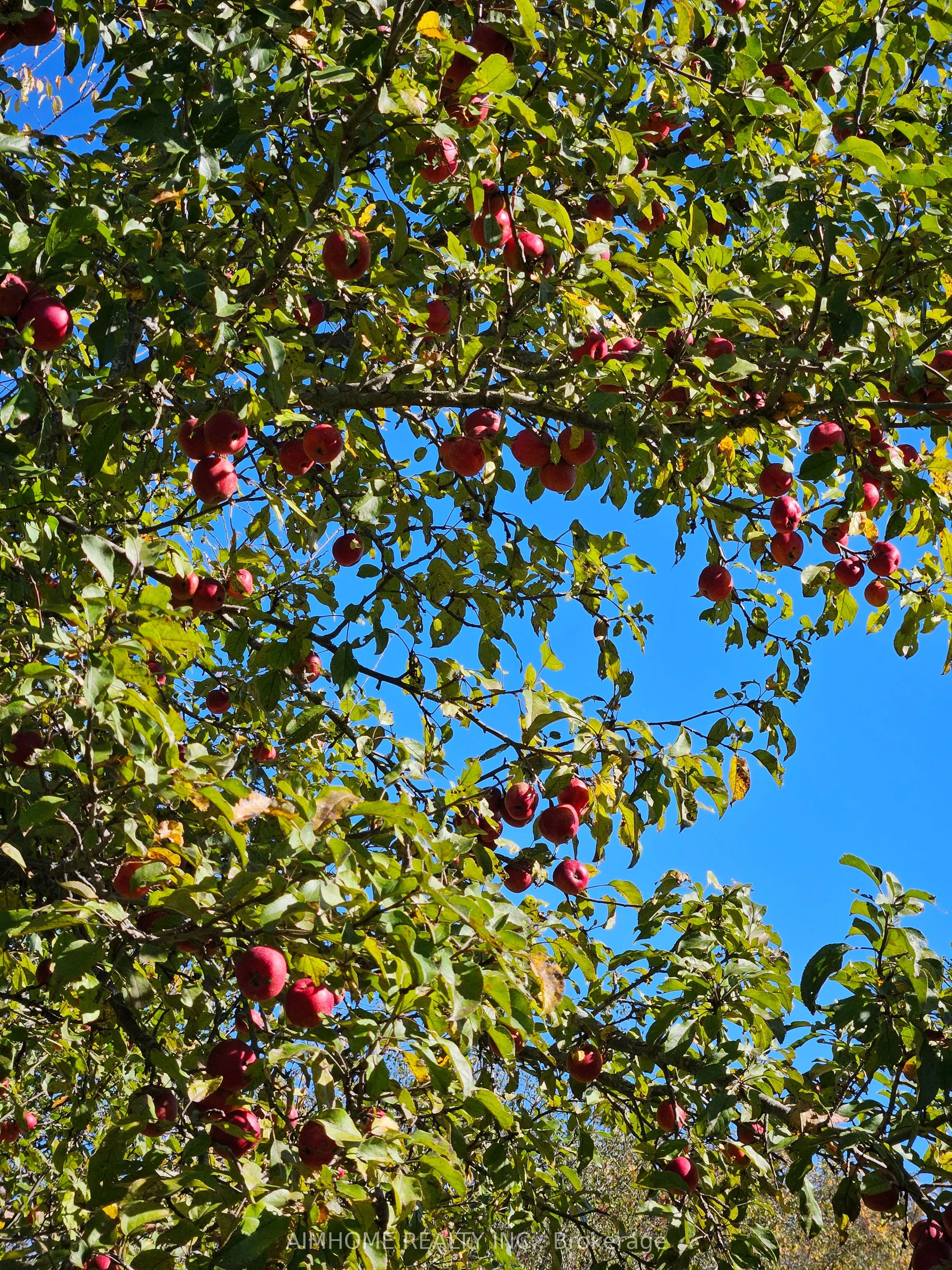 10400 and 10800 6th Concession