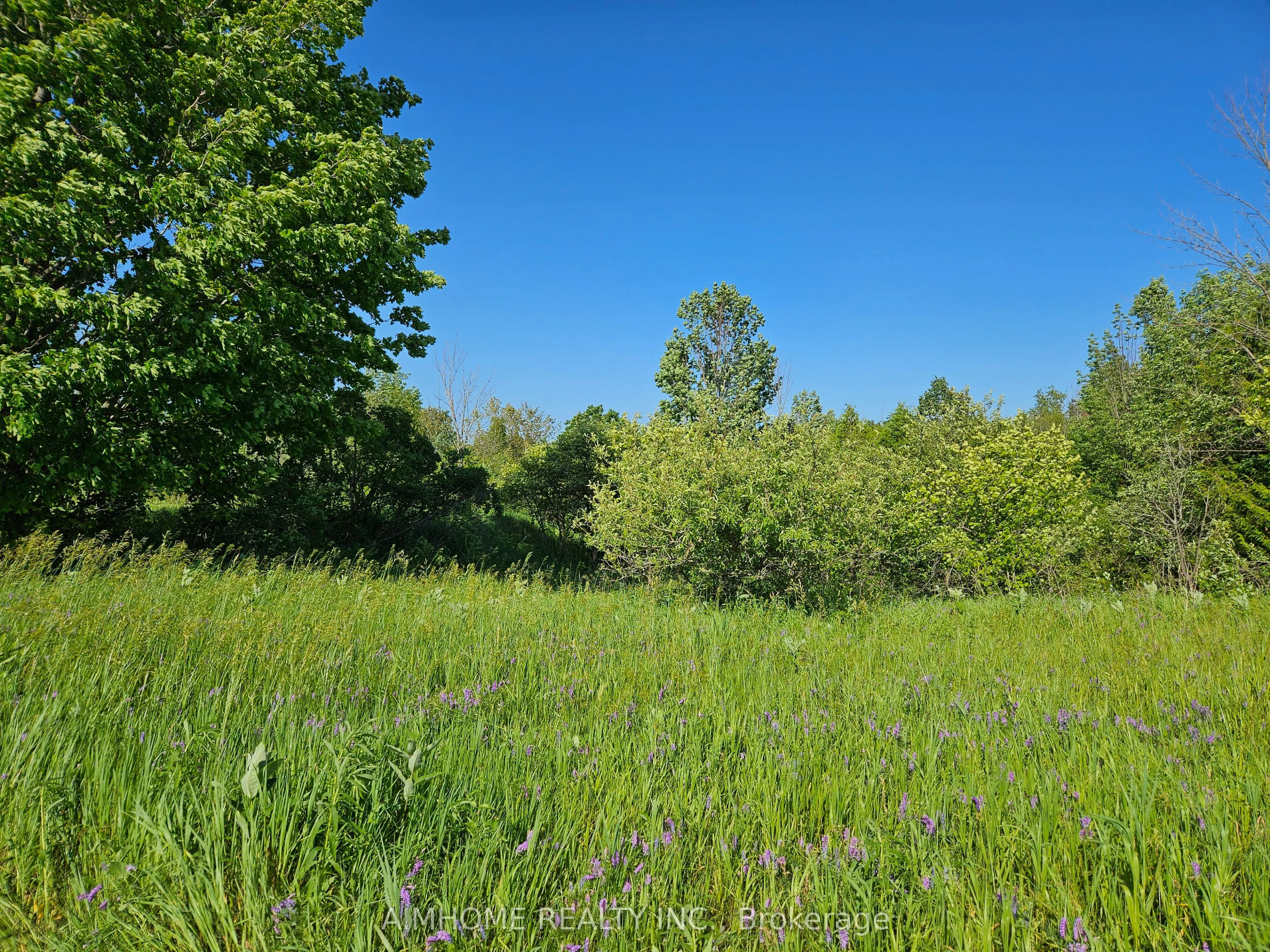 10400 and 10800 6th Concession