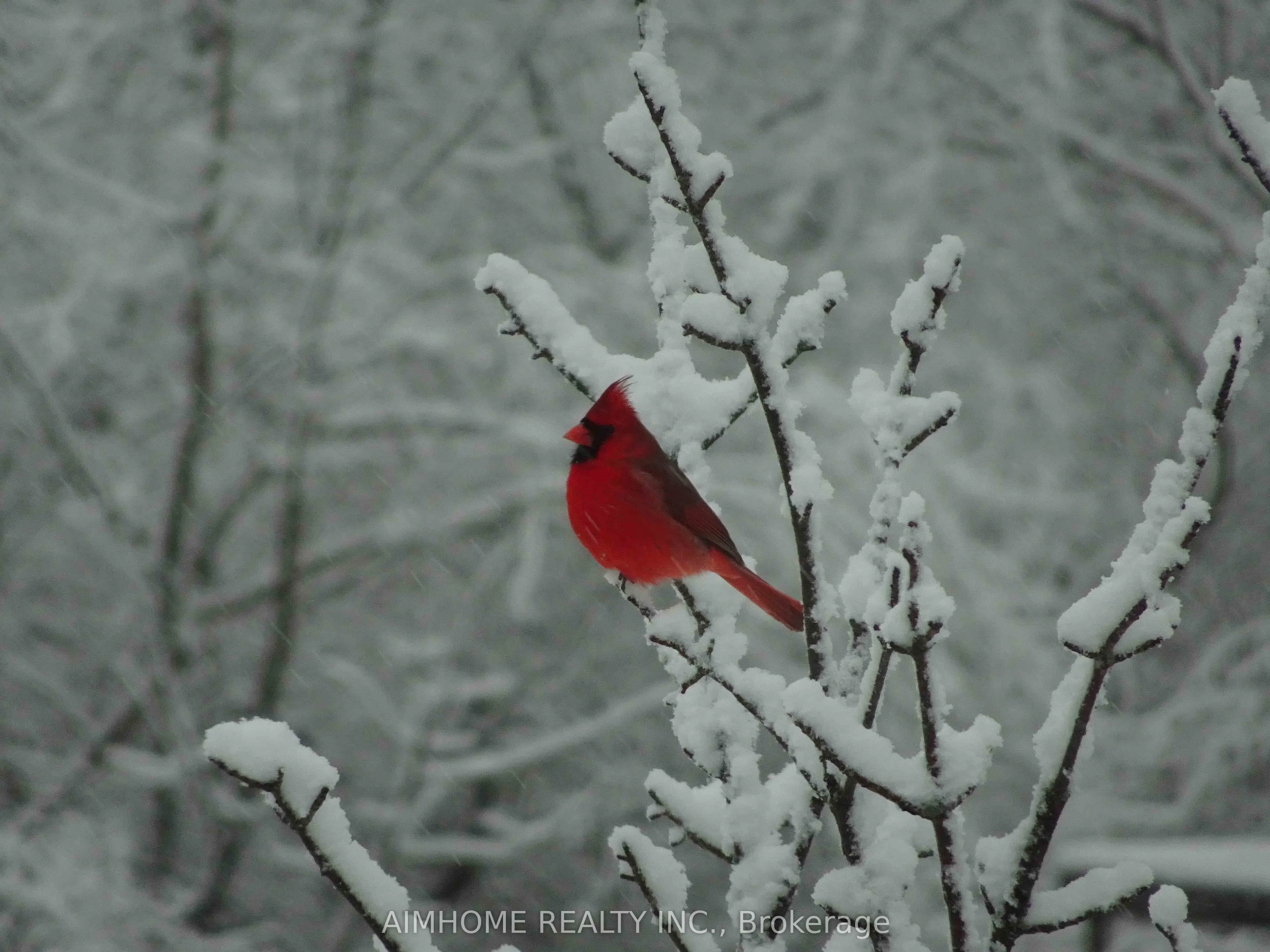 10400 and 10800 6th Concession