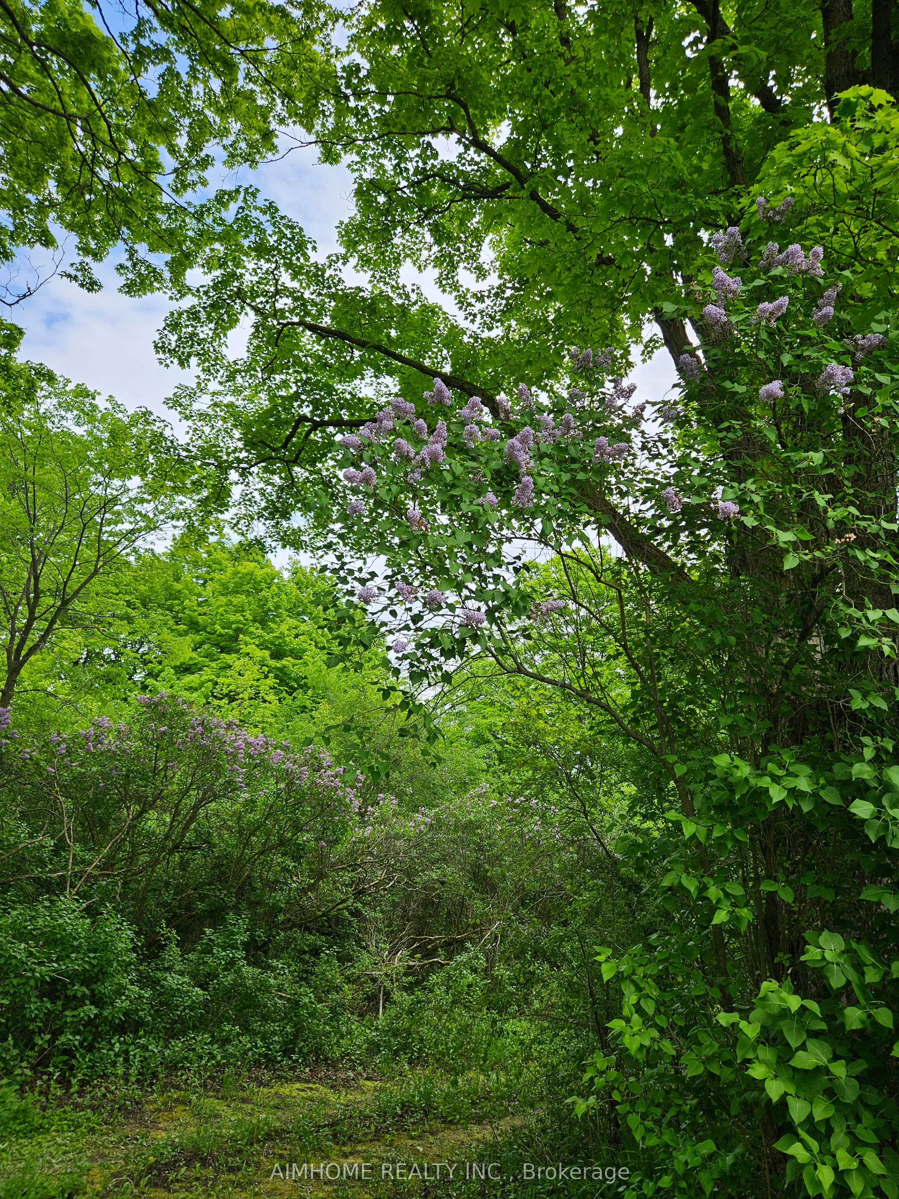 10400 and 10800 6th Concession