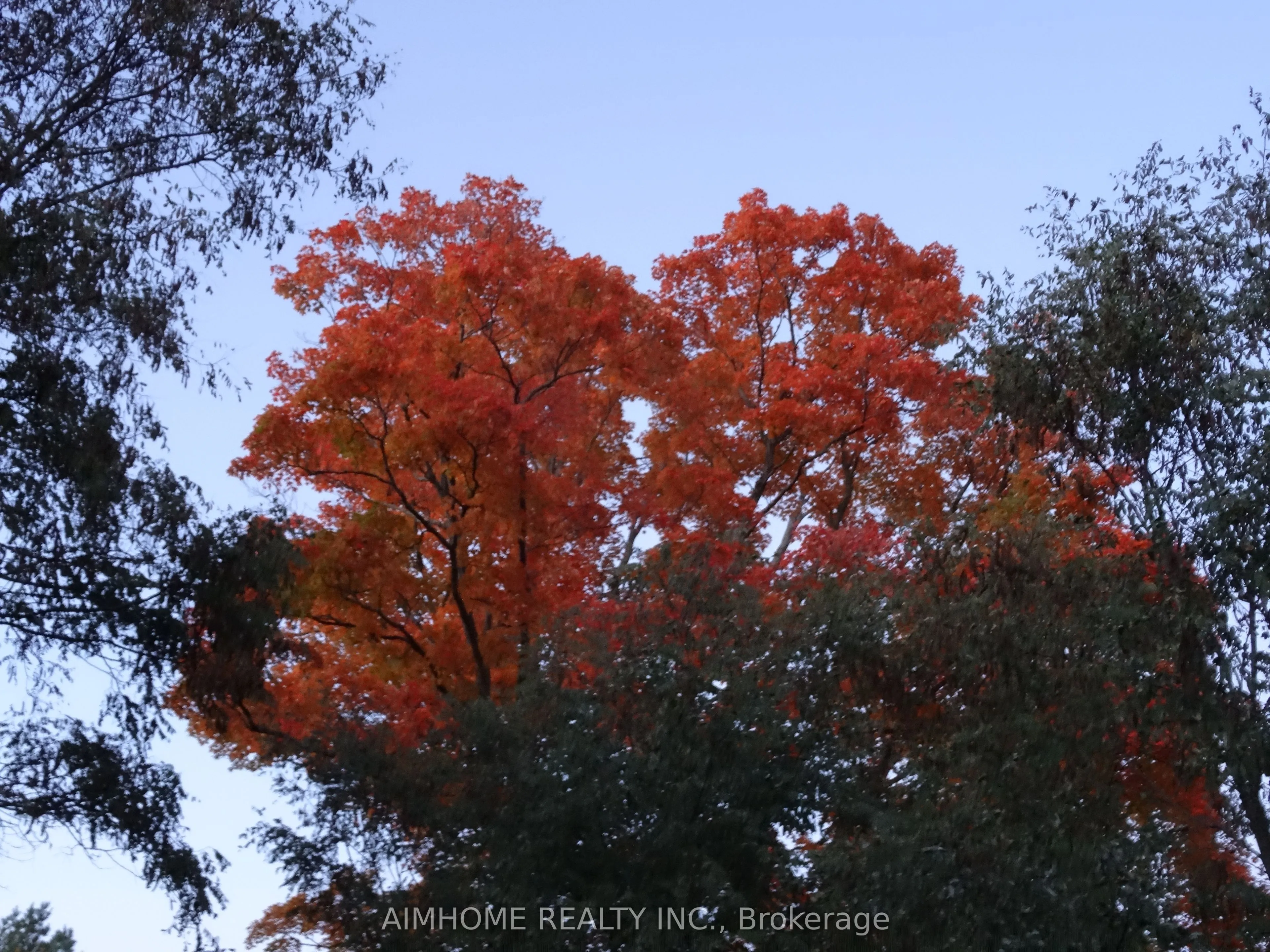 10400 and 10800 6th Concession