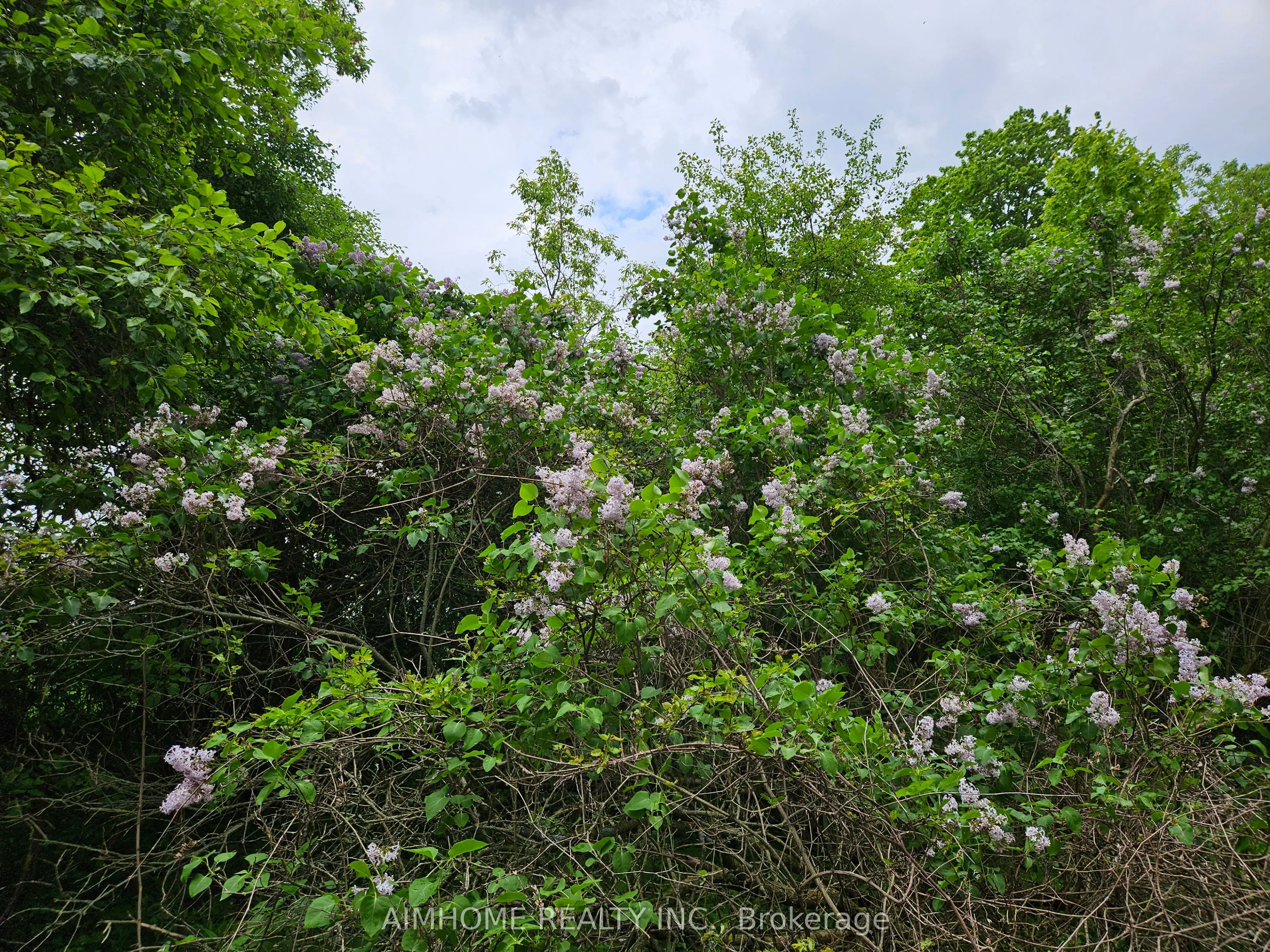 10400 and 10800 6th Concession