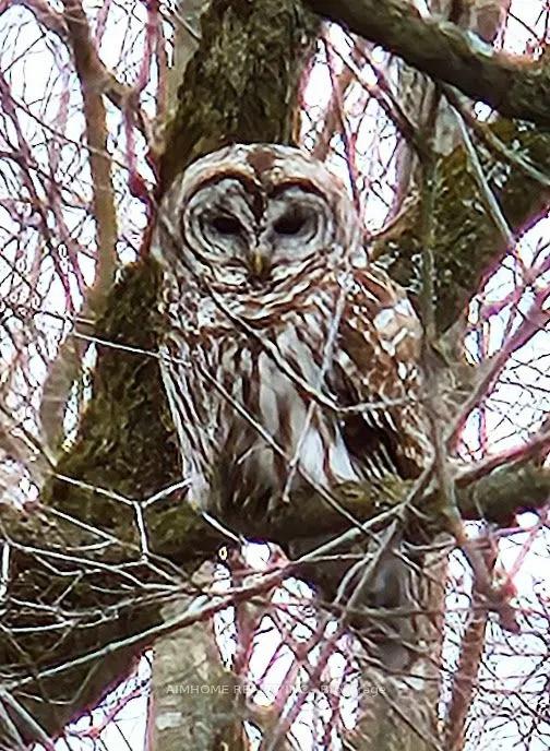 10400 and 10800 6th Concession