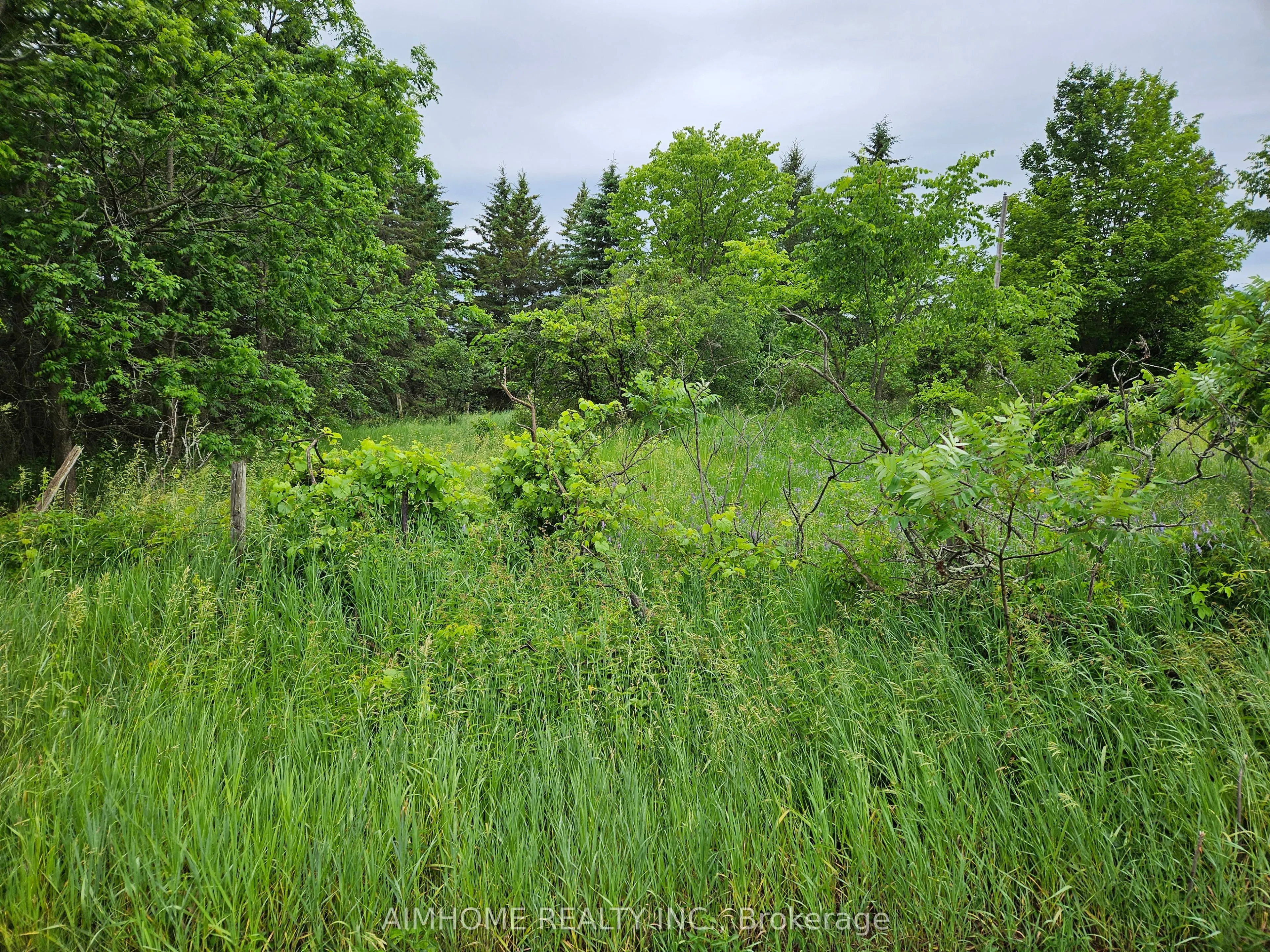 10400 and 10800 6th Concession