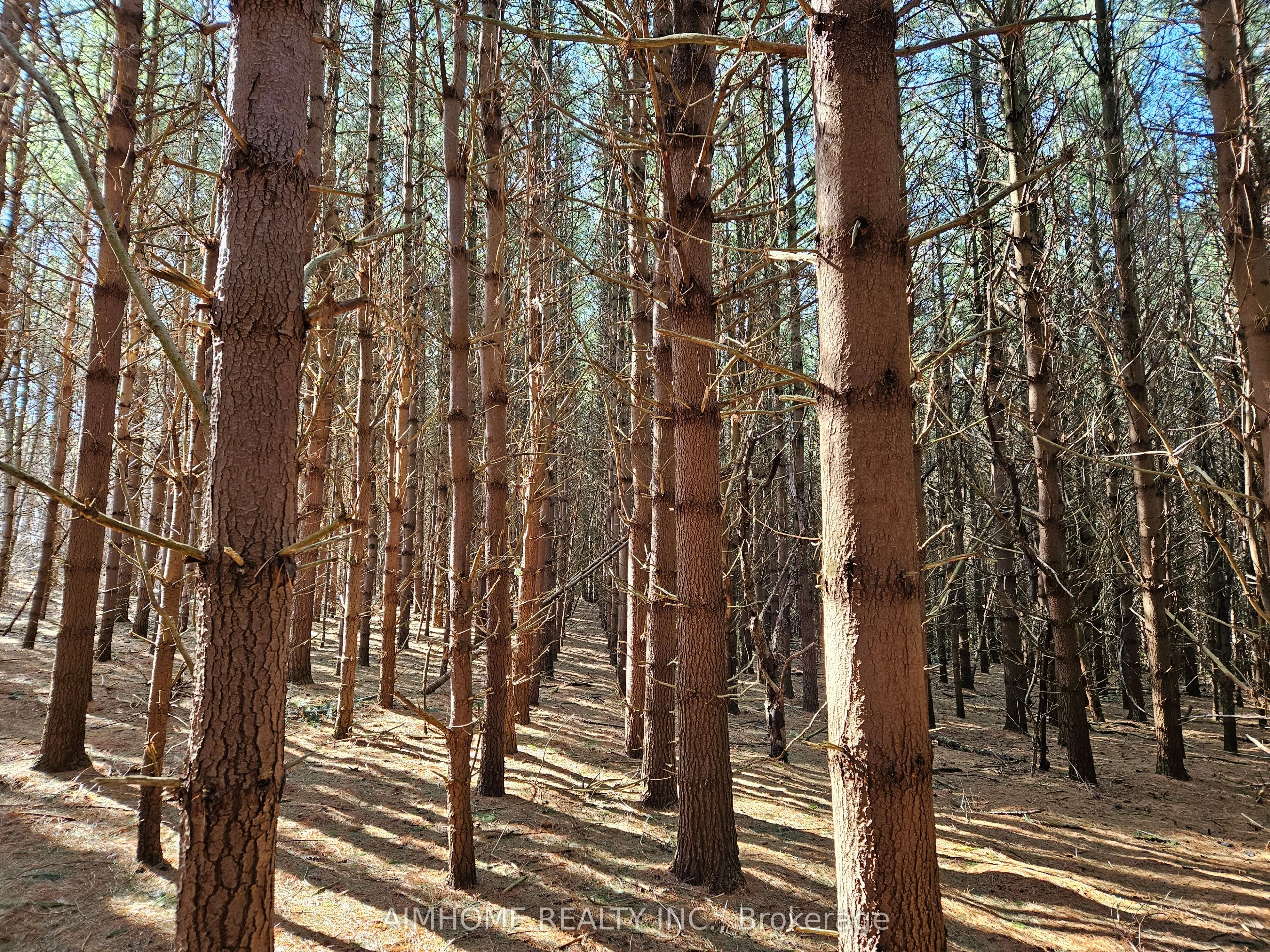 10400 and 10800 6th Concession