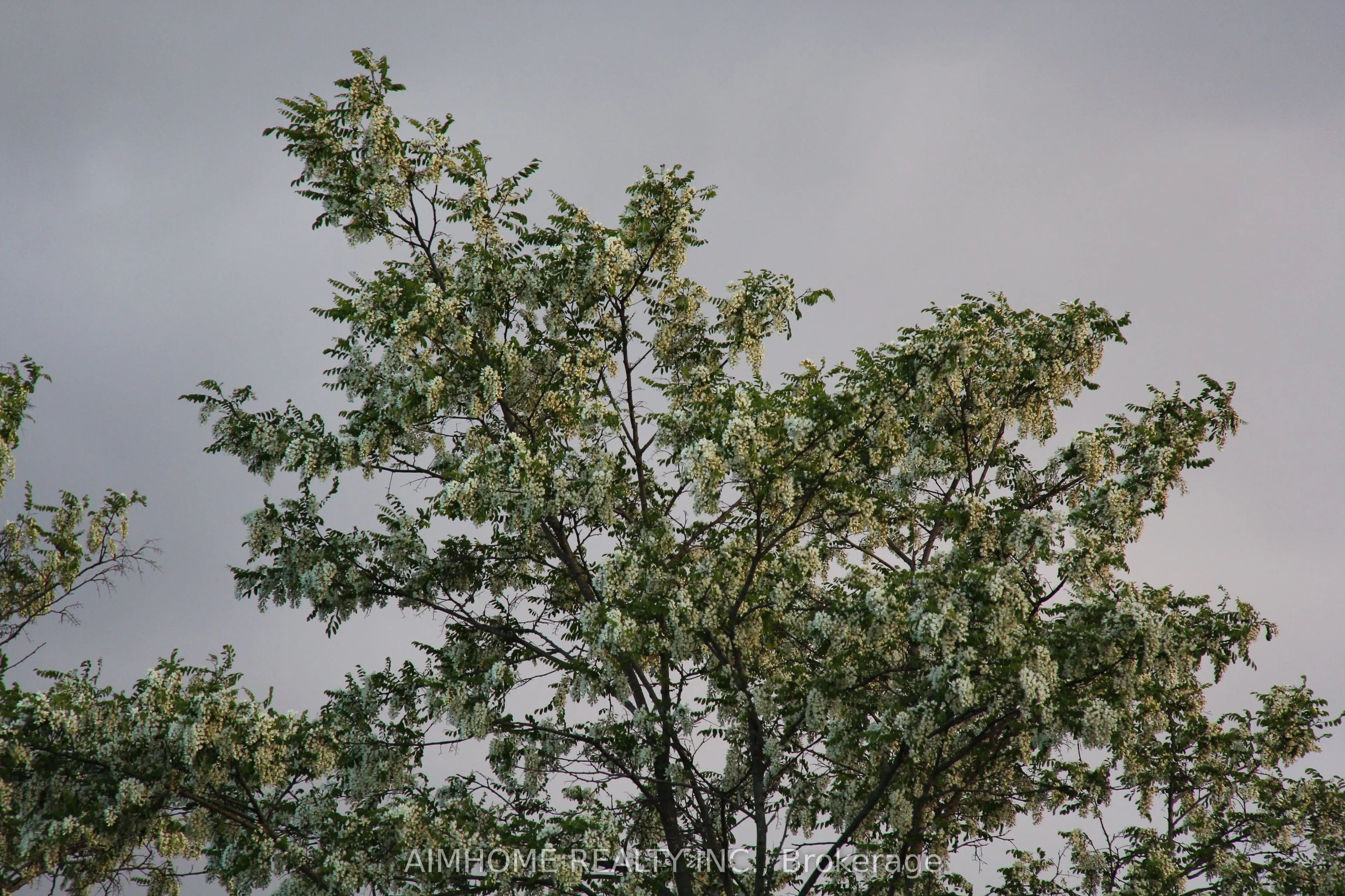 10400 and 10800 6th Concession