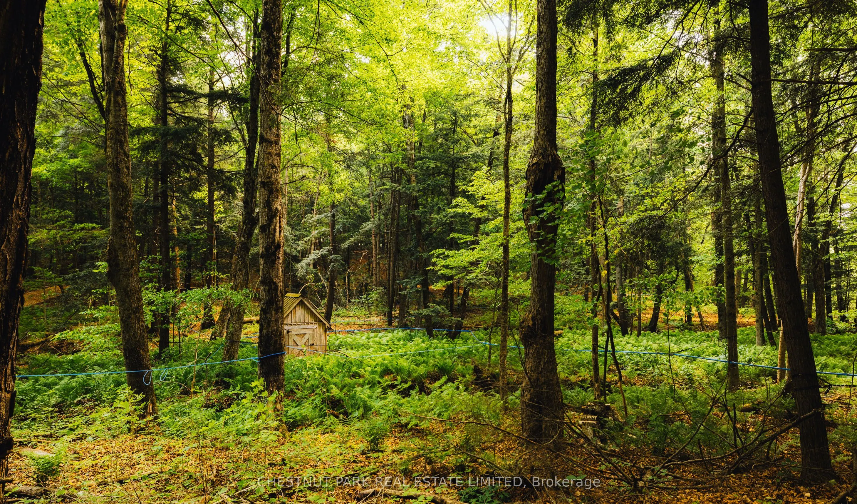 13570 7th Concession Road