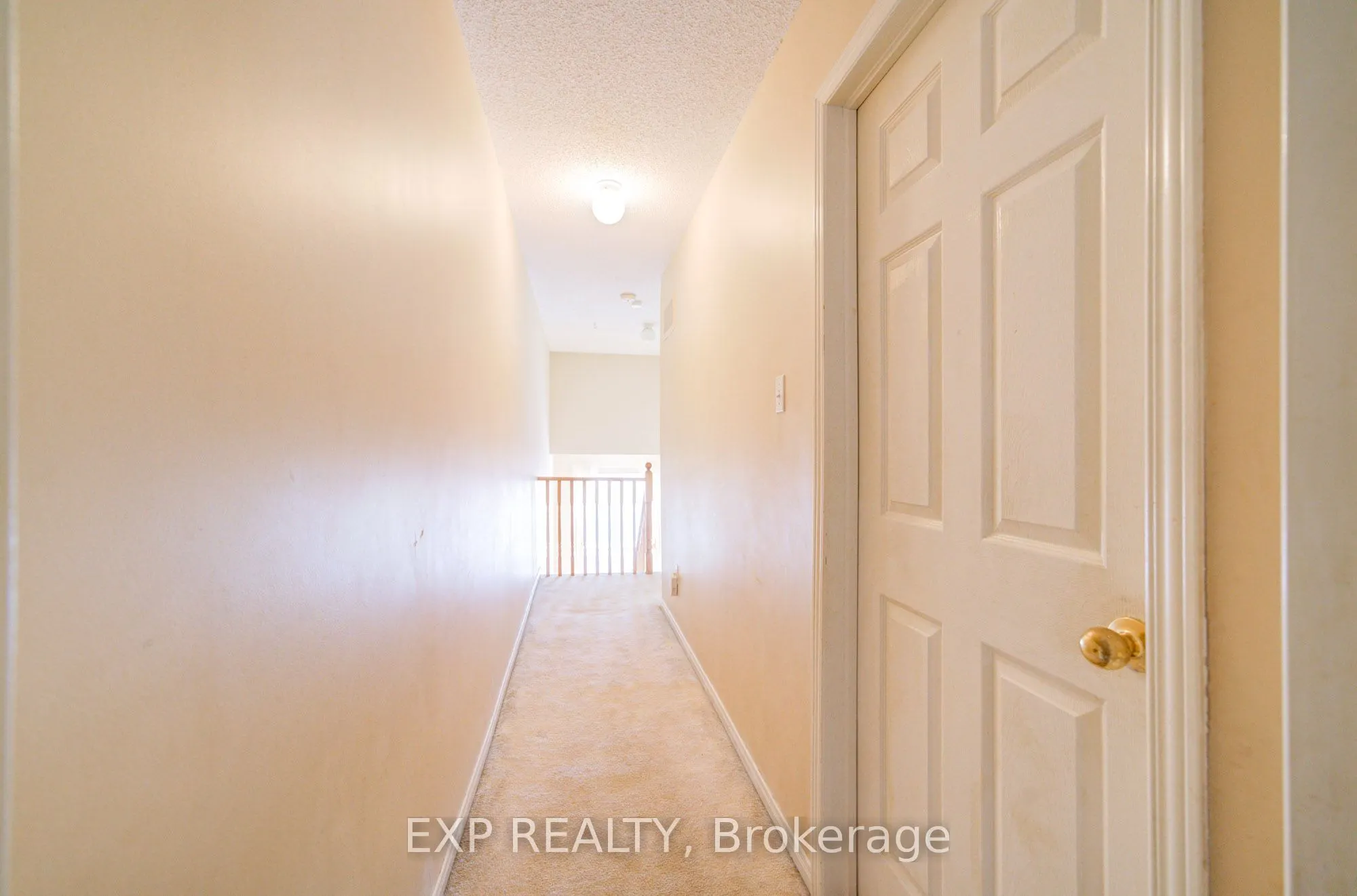 163 Sassafras Circle