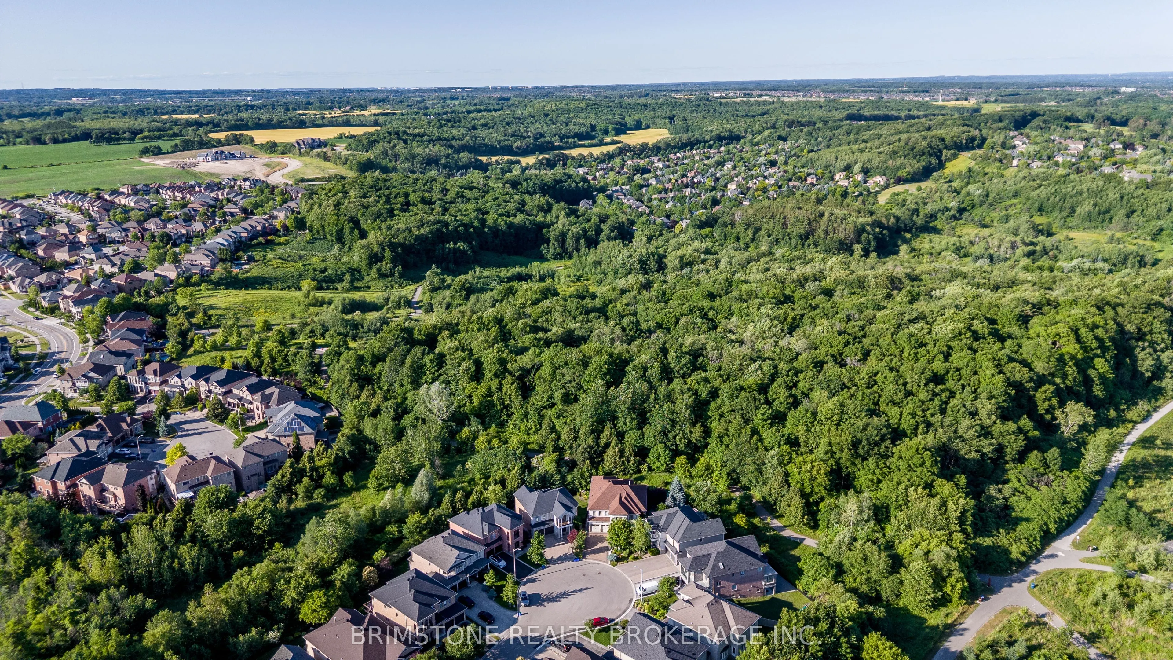 123 Salamander Court