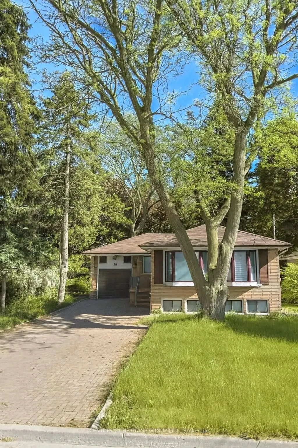 39 Cartier Crescent, #Bsmt