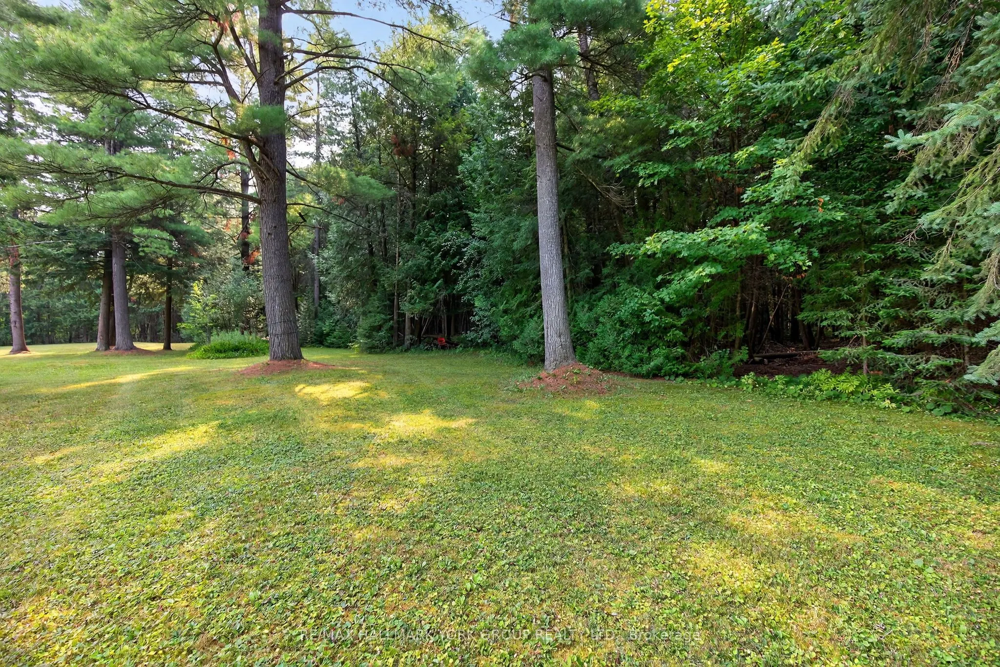 245 Davis Drive