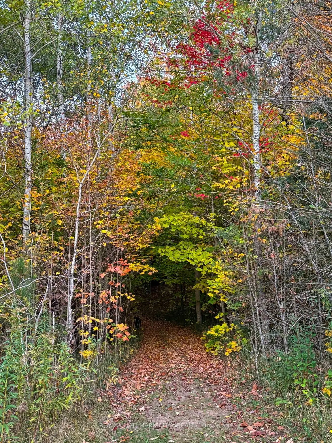2043 Concession 5 Road
