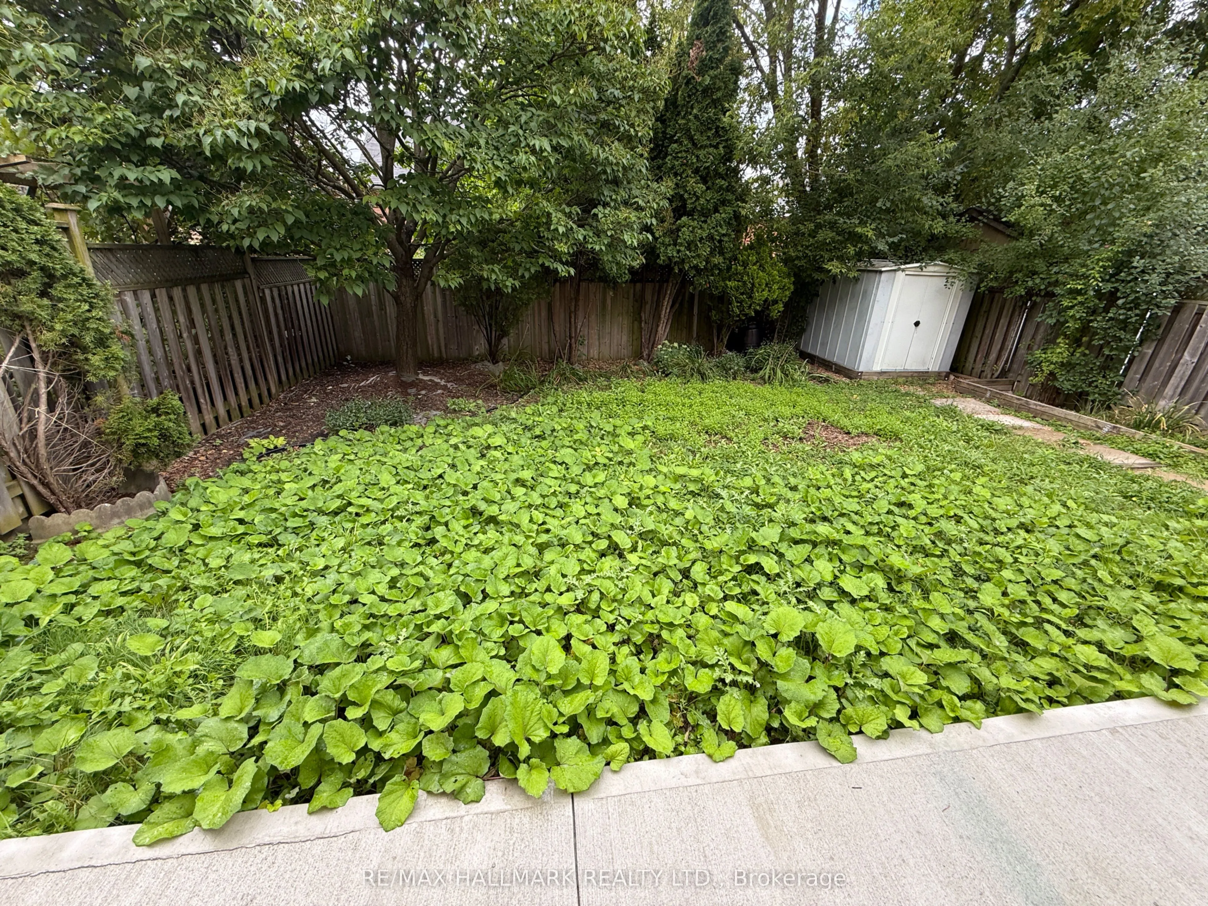 256 Stone Road, ##Bsmt