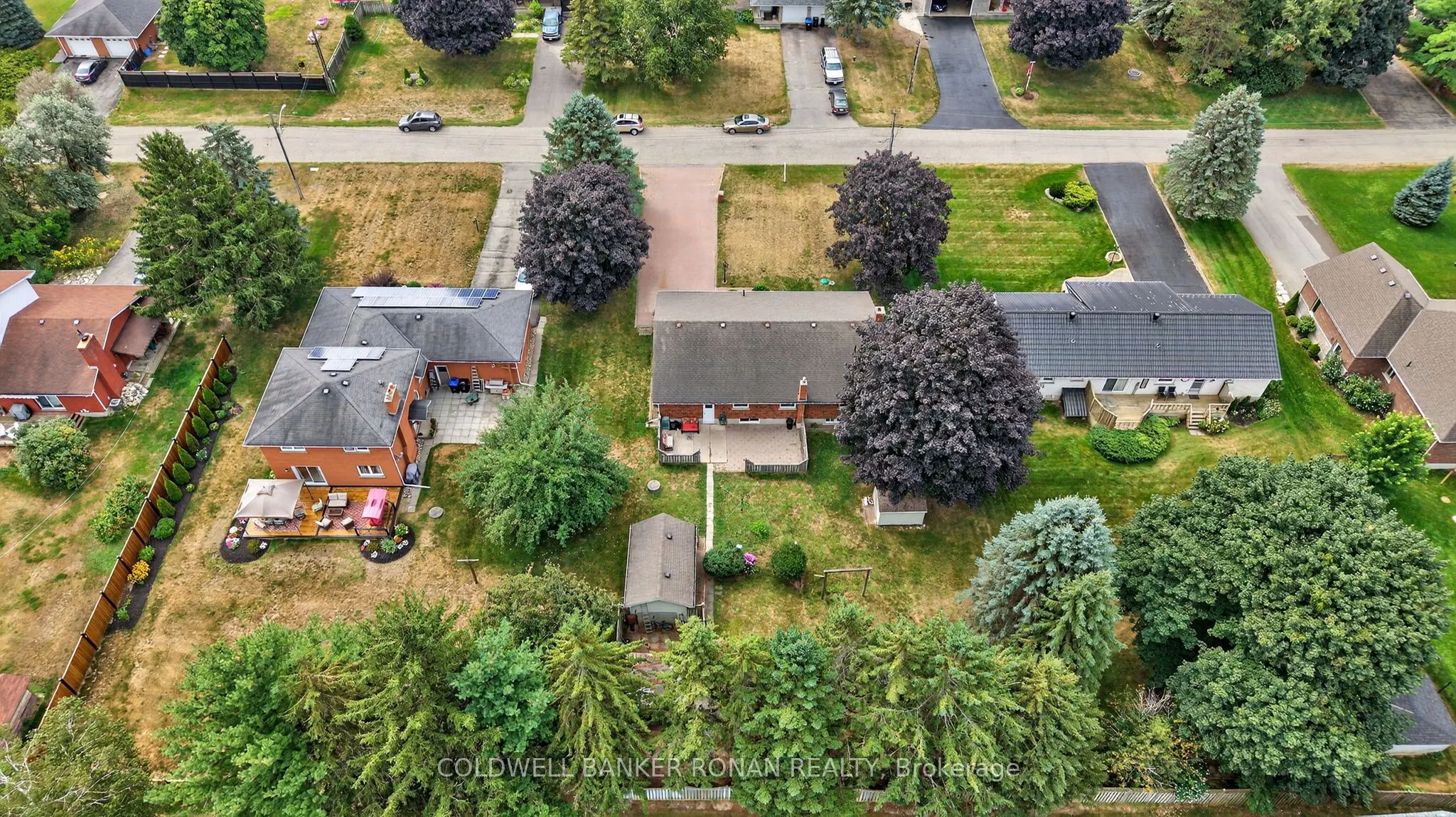 8 Douglas Drive