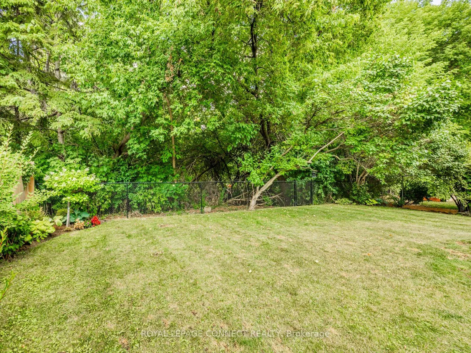42 Lyndhurst Drive