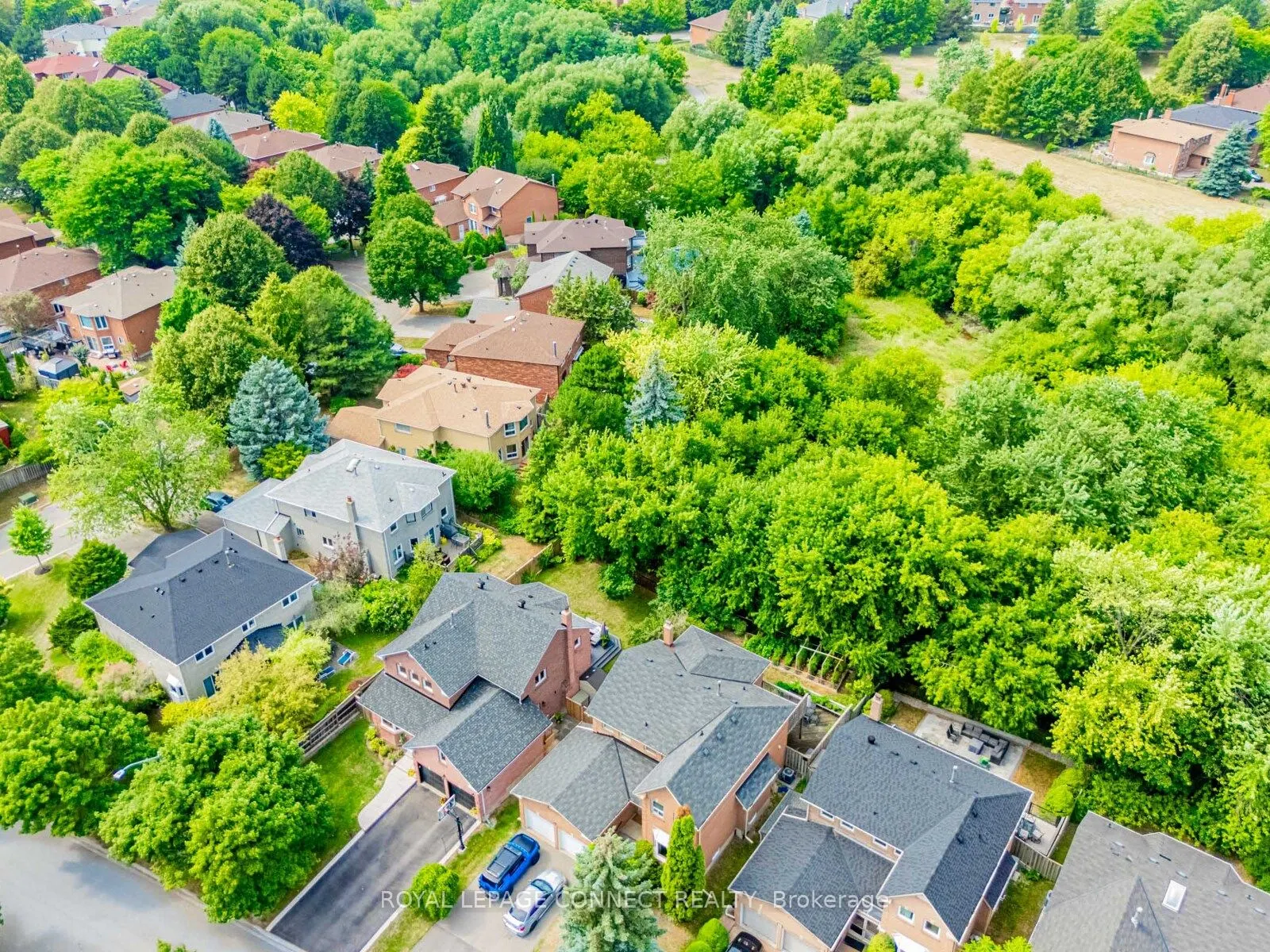 42 Lyndhurst Drive