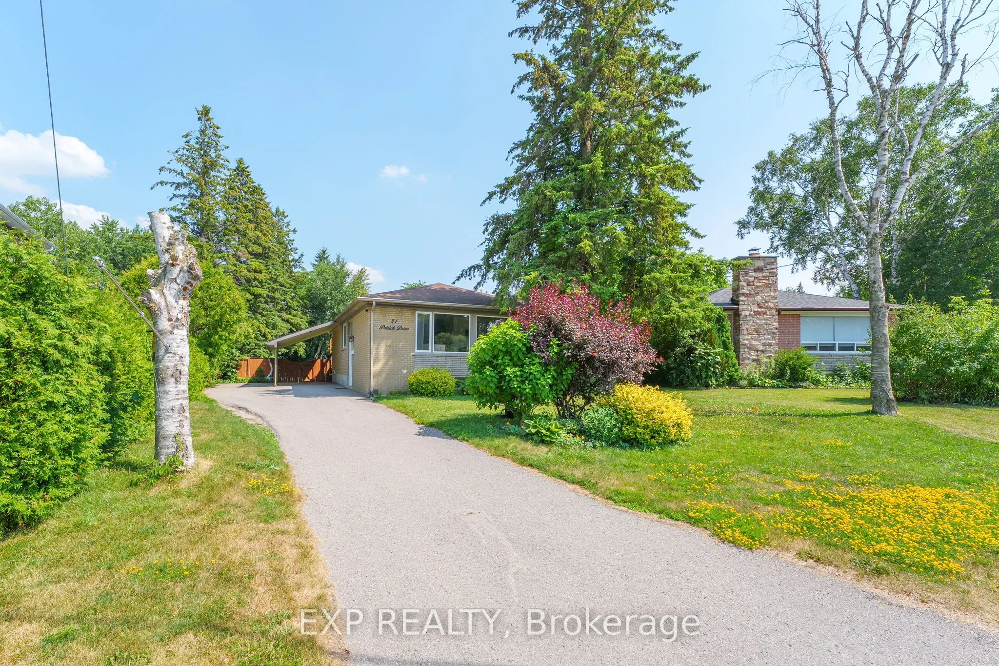 31 Patrick Drive