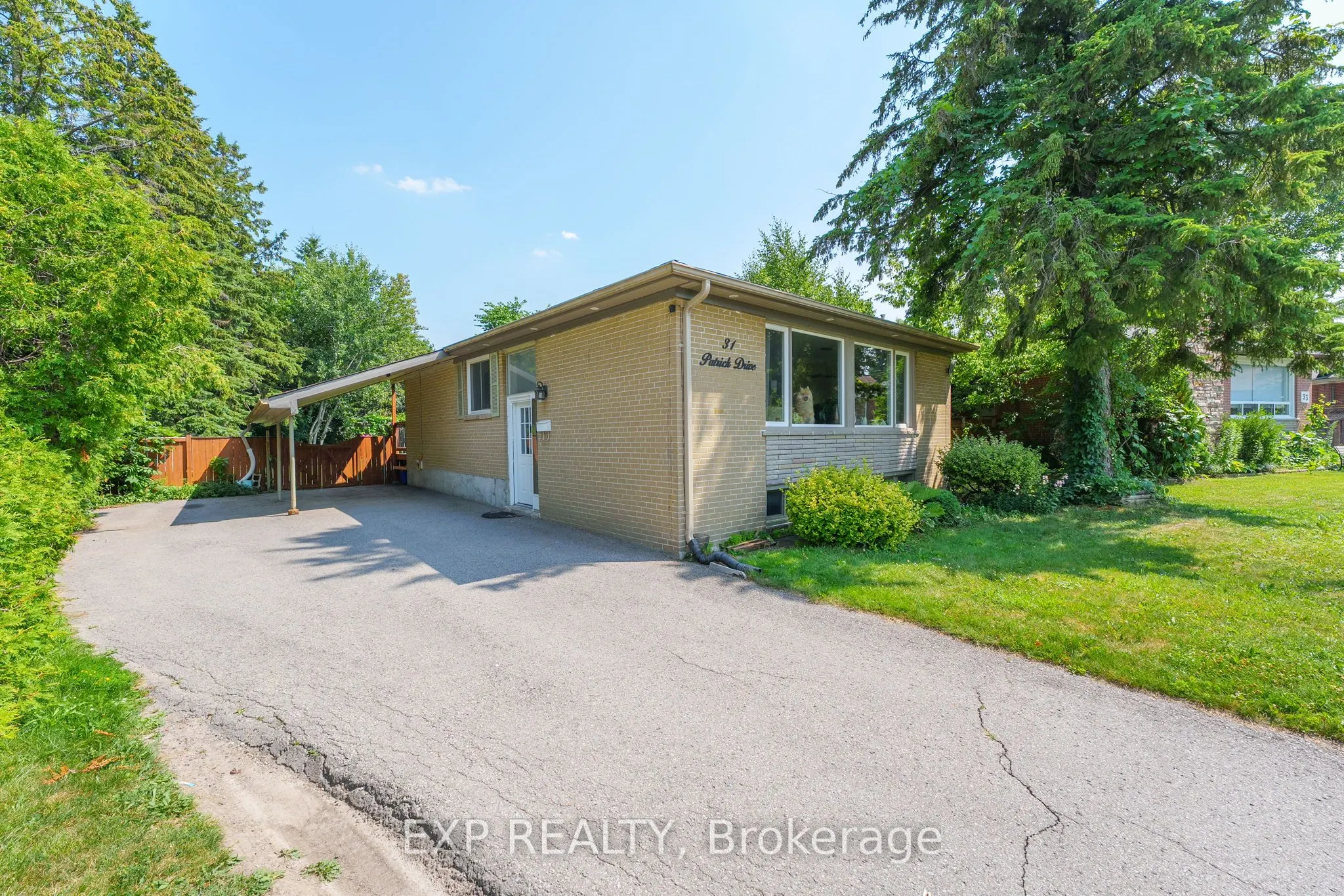 31 Patrick Drive