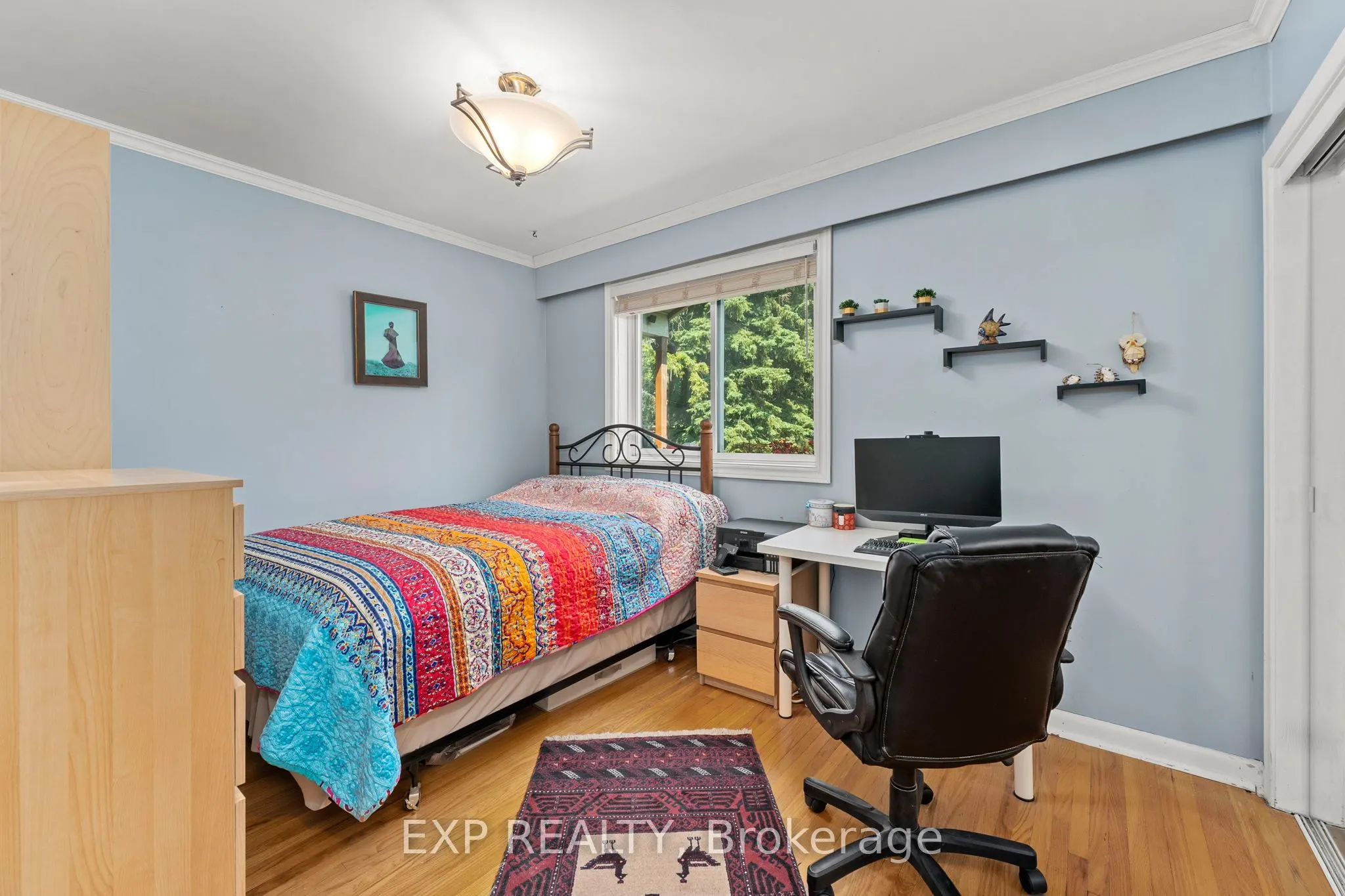 31 Patrick Drive
