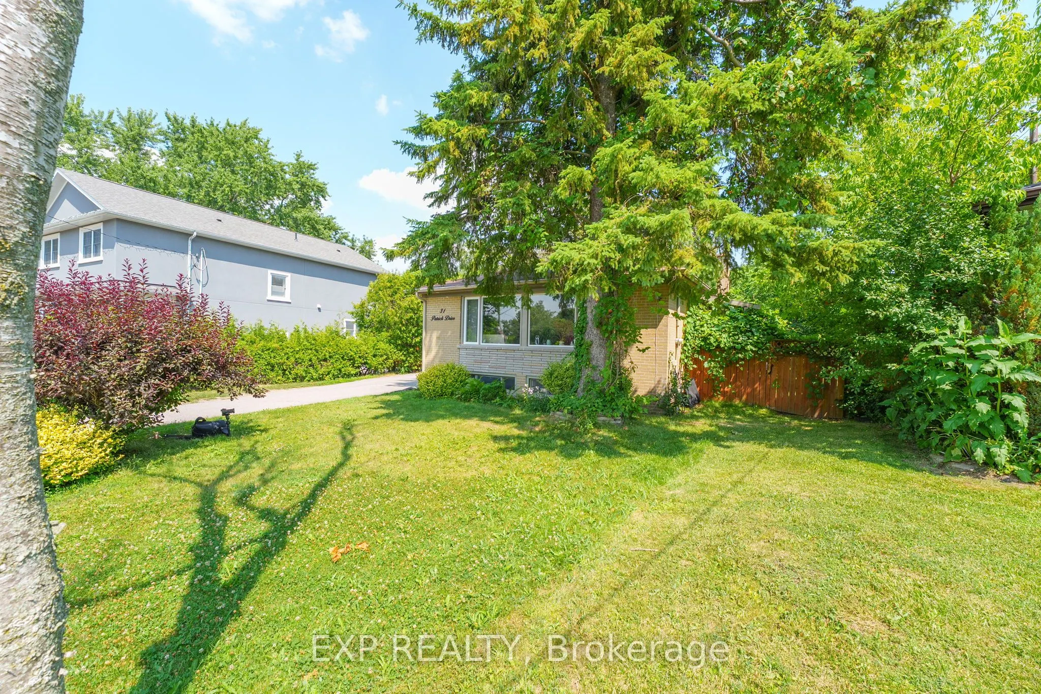 31 Patrick Drive