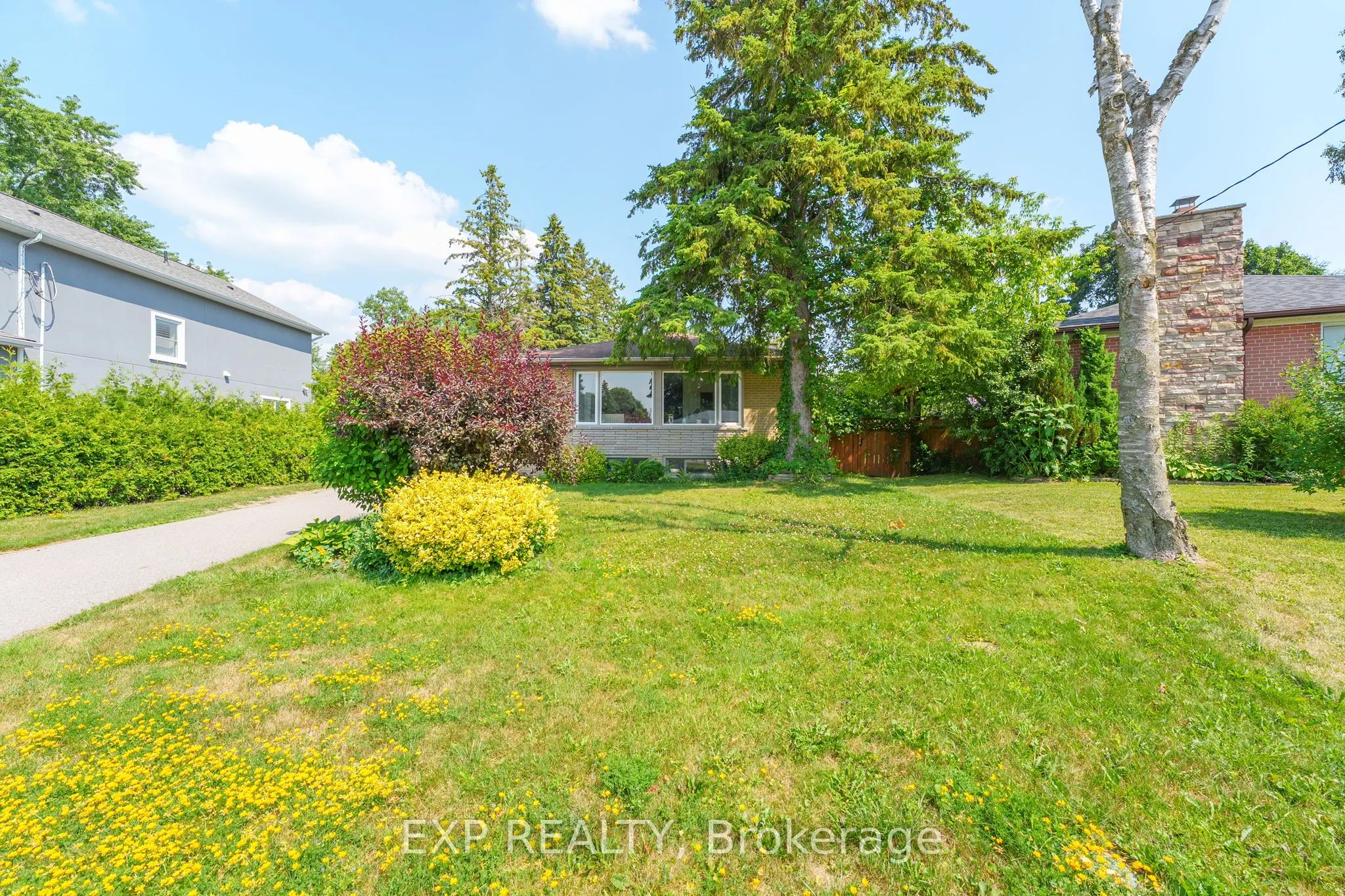 31 Patrick Drive