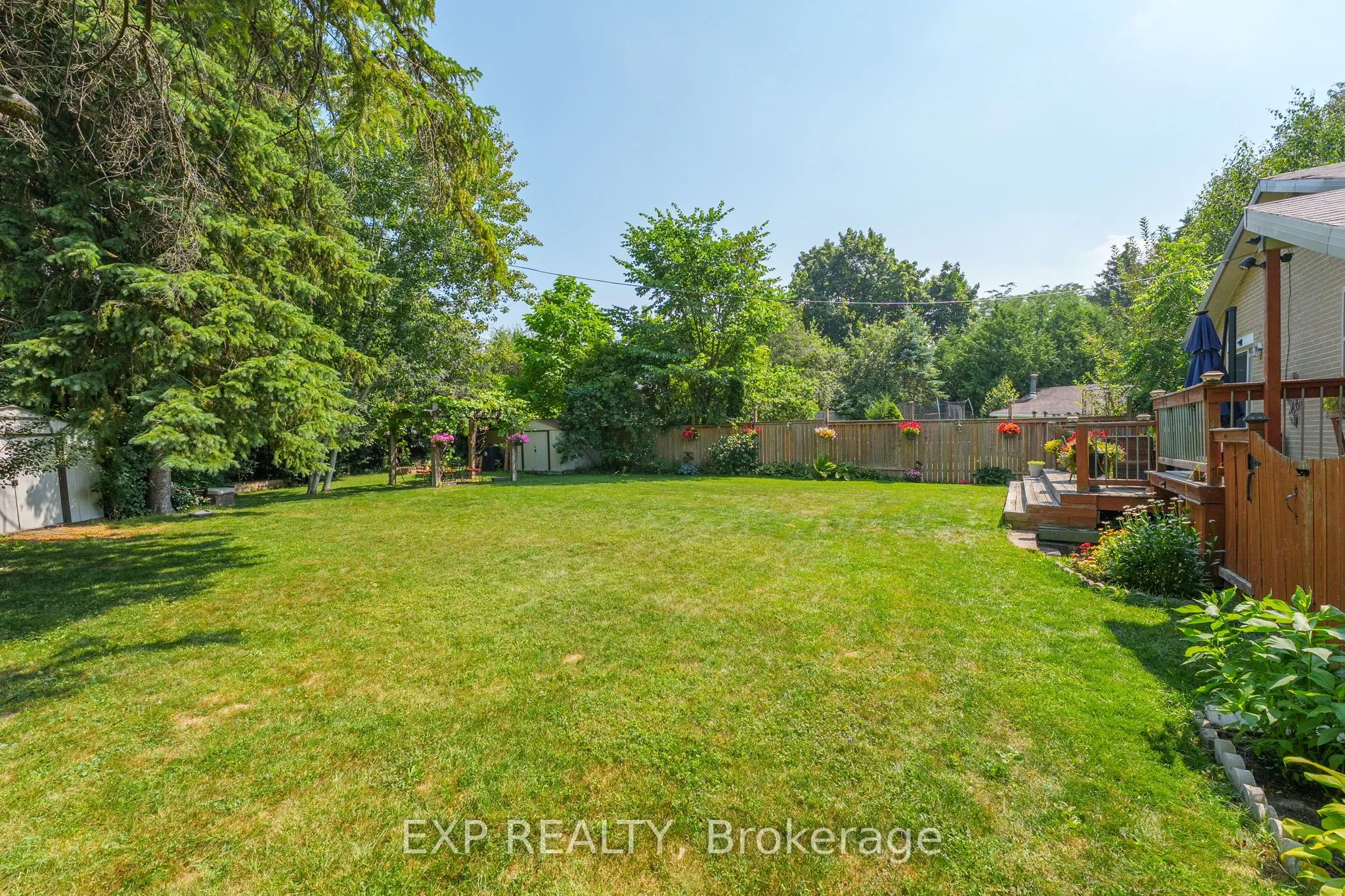 31 Patrick Drive