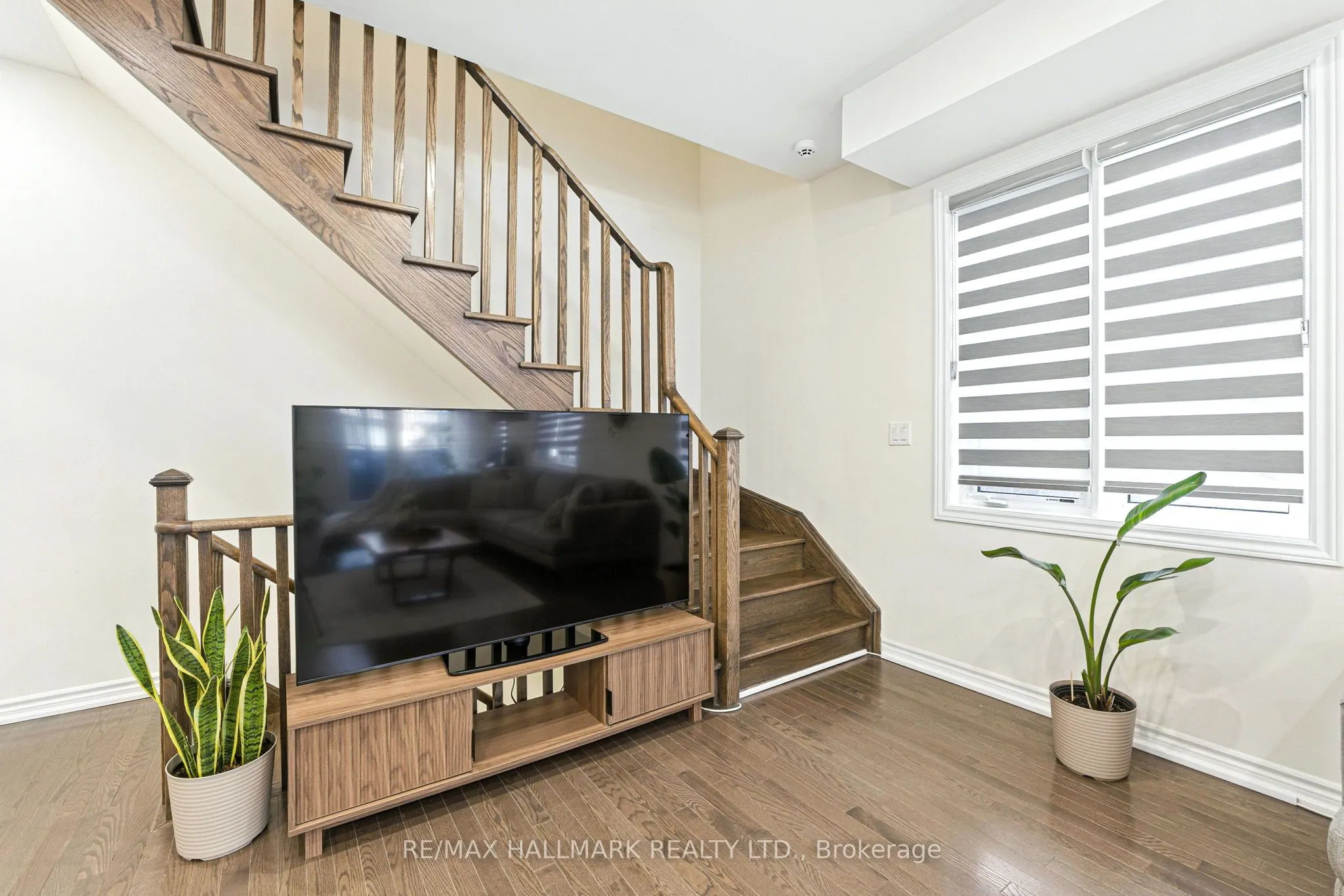 36 Elsinore Street