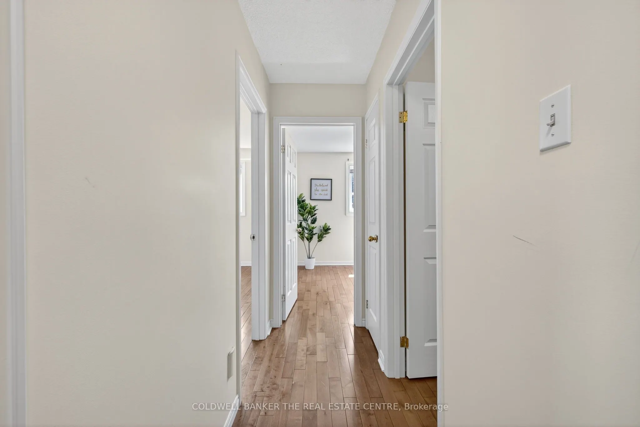 204 Alexander Road