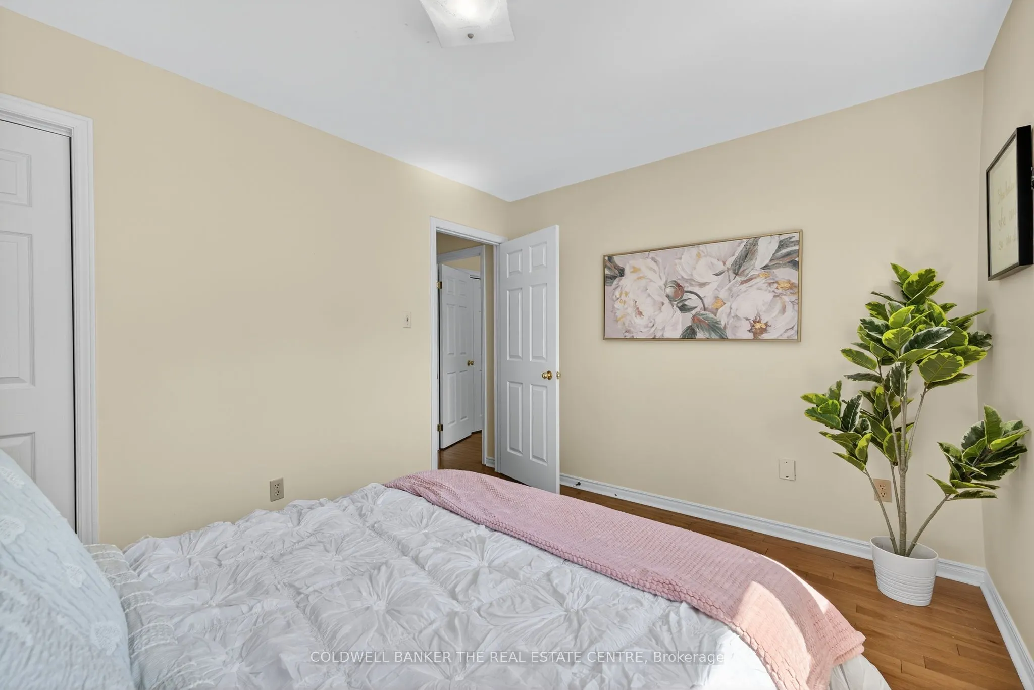 204 Alexander Road