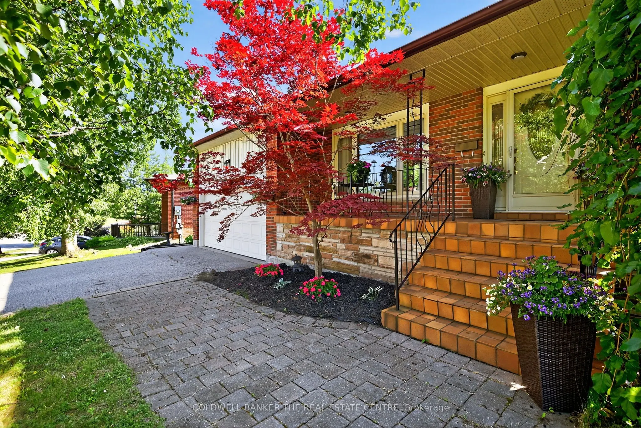 204 Alexander Road
