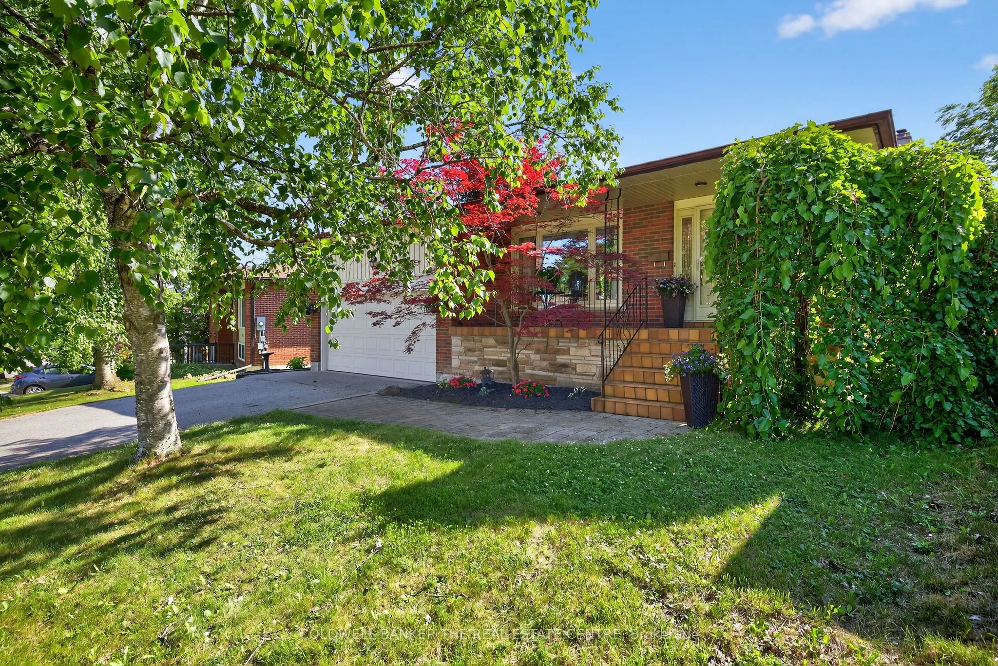204 Alexander Road