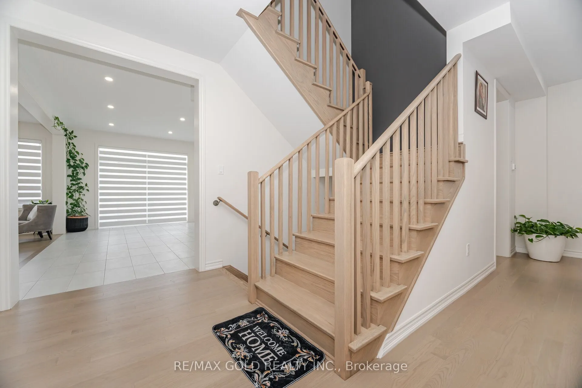 4 Elderberry Way
