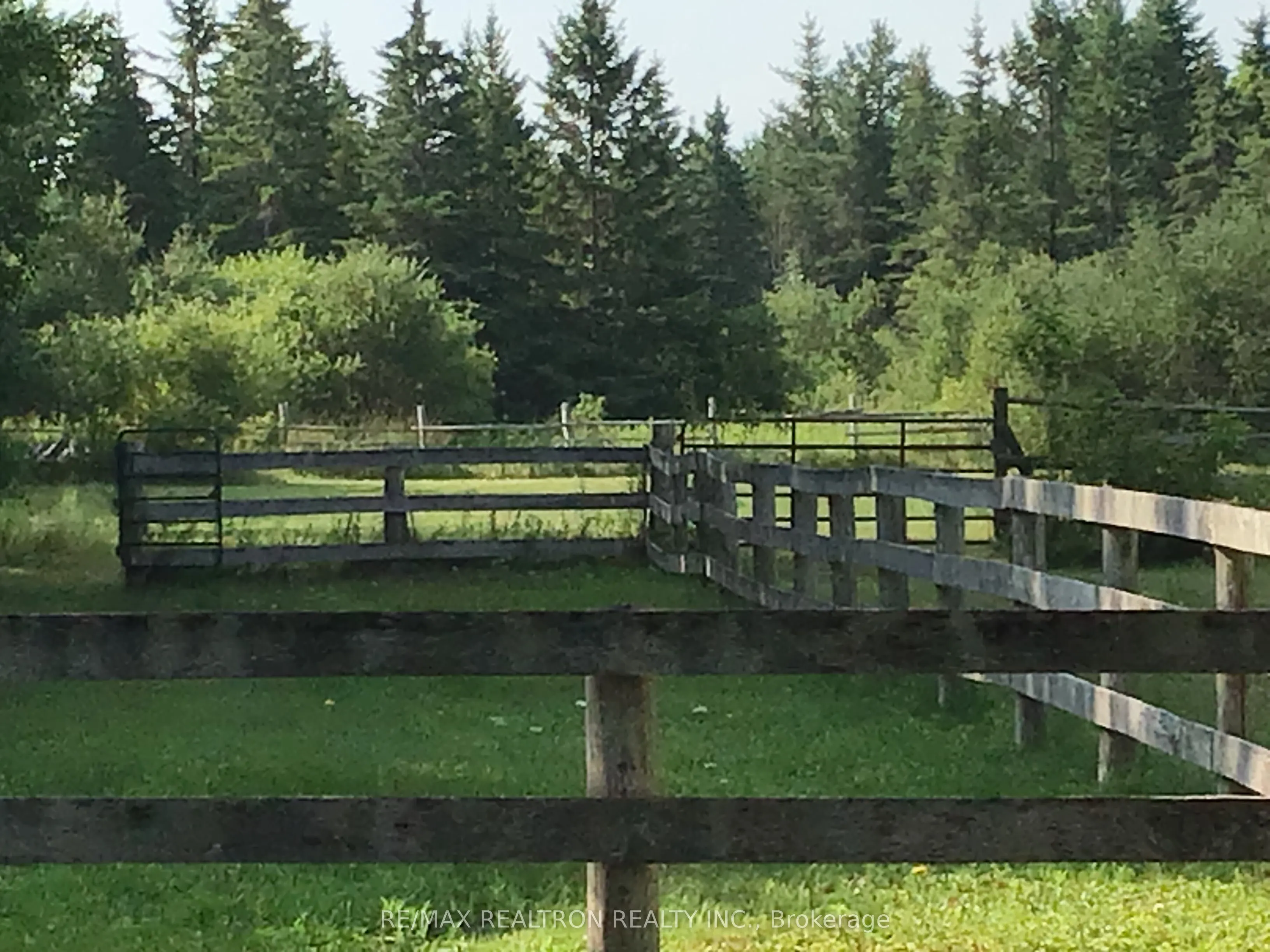 1181 Ravenshoe Road