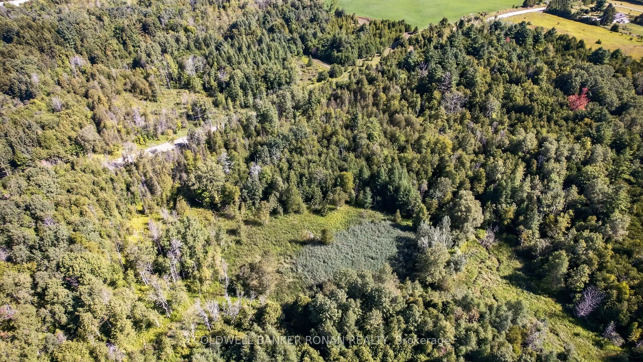 8155 19th Side Road