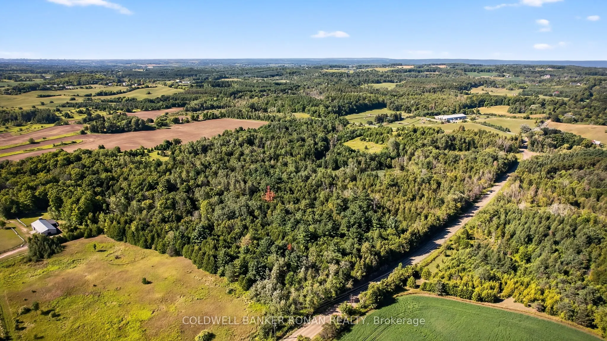 8155 19th Side Road
