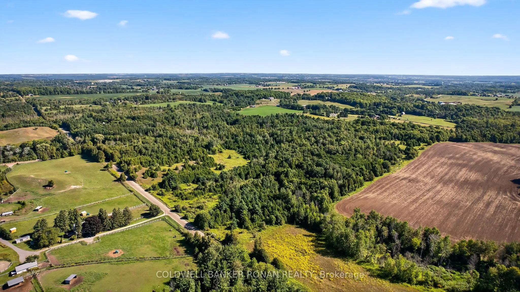 8155 19th Side Road