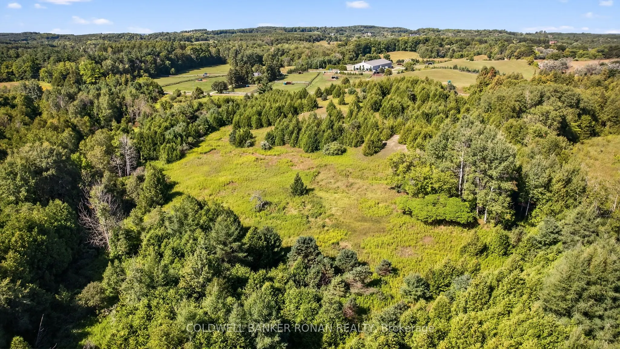 8155 19th Side Road