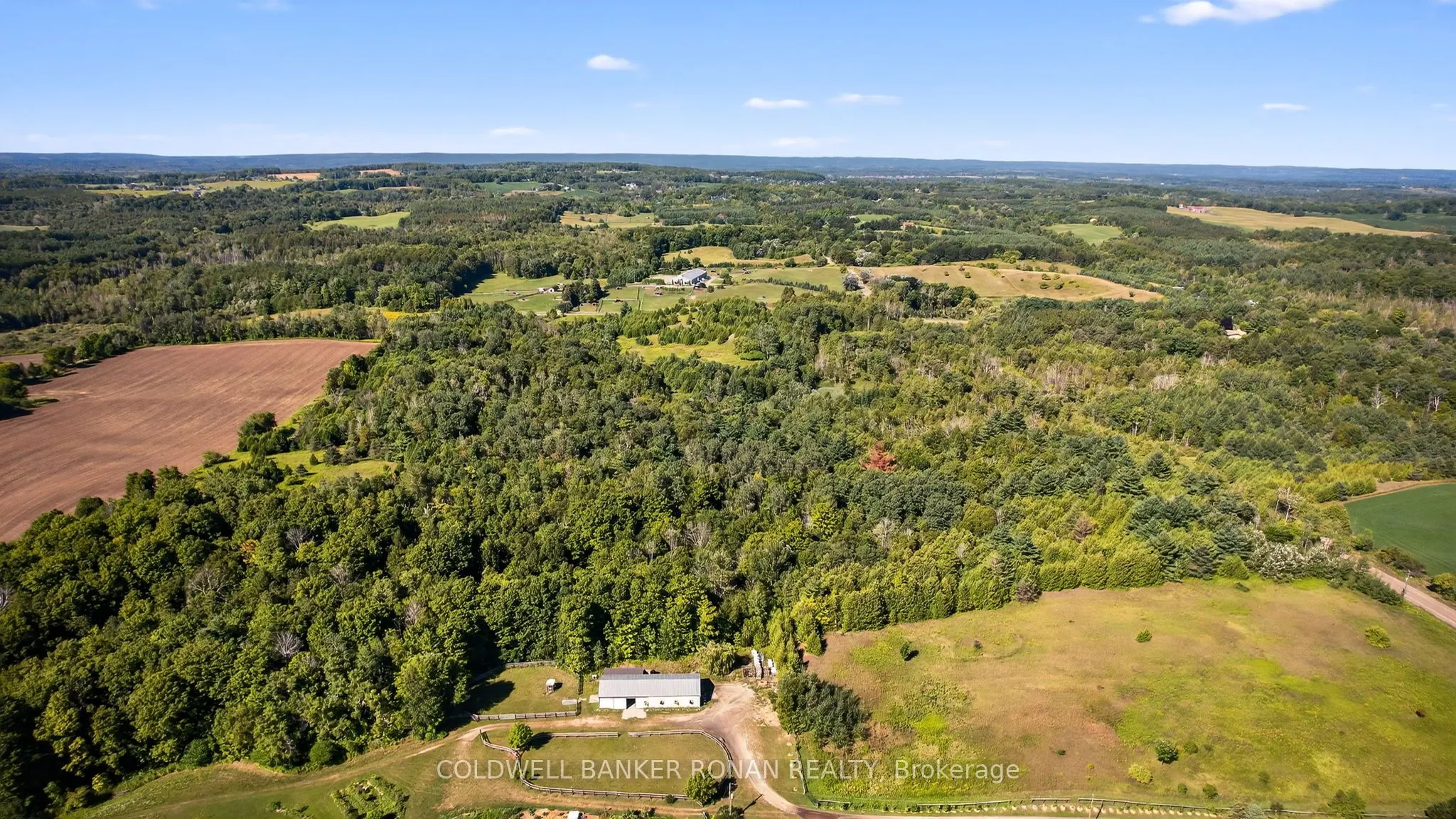 8155 19th Side Road