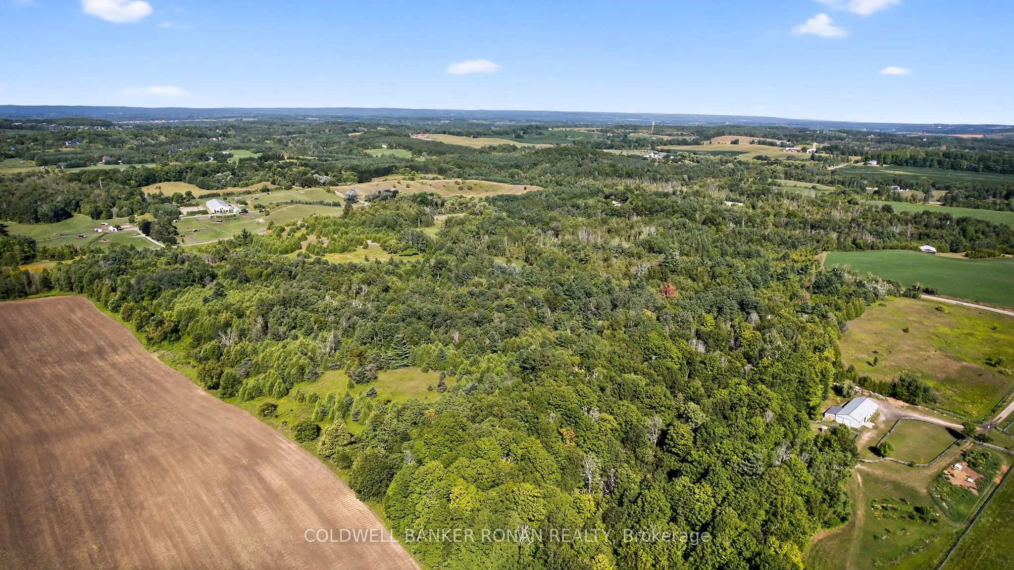 8155 19th Side Road