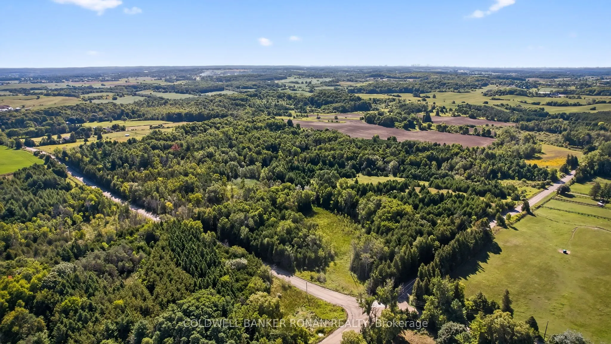 8155 19th Side Road