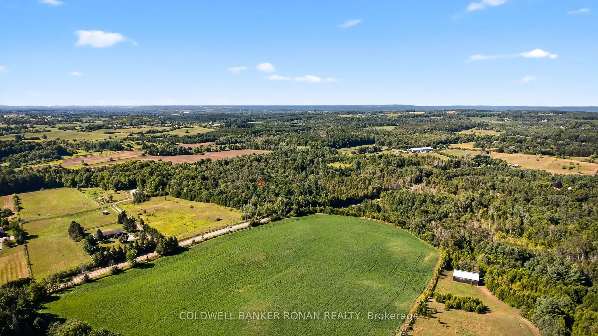 8155 19th Side Road