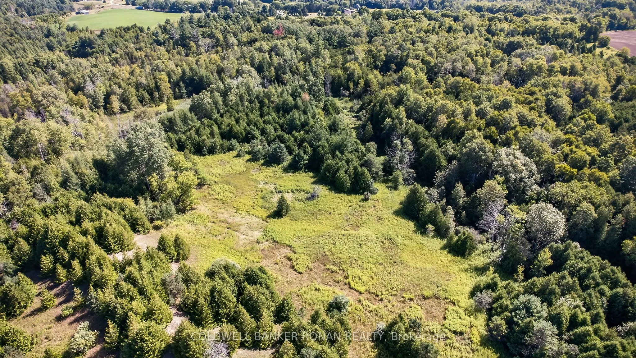 8155 19th Side Road