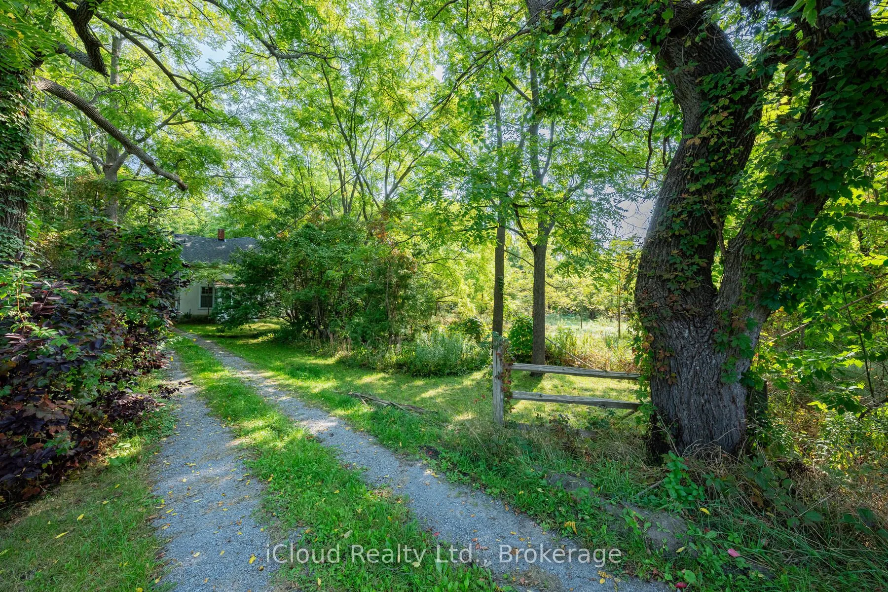 315 Main Street N