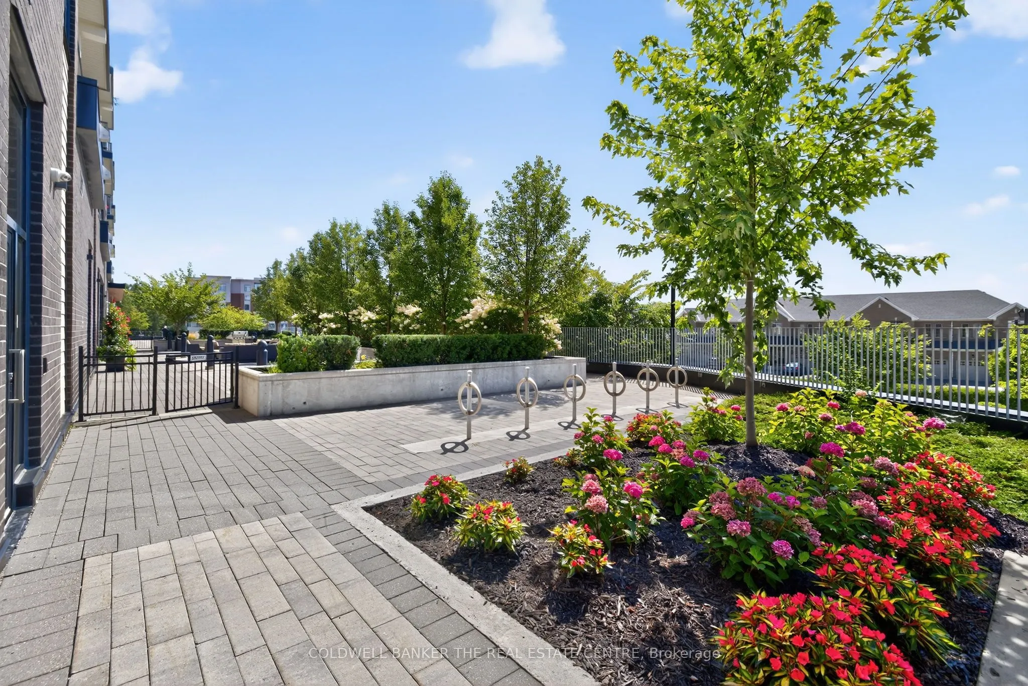 555 William Graham Drive, #51